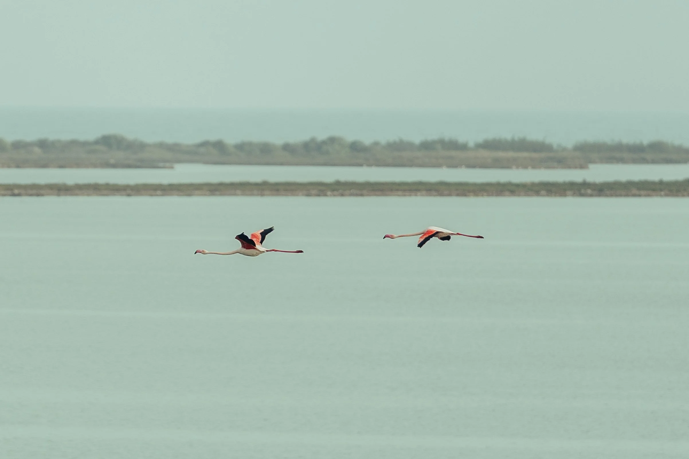 Gala des Internes 11-04-26 Web-1.jpg