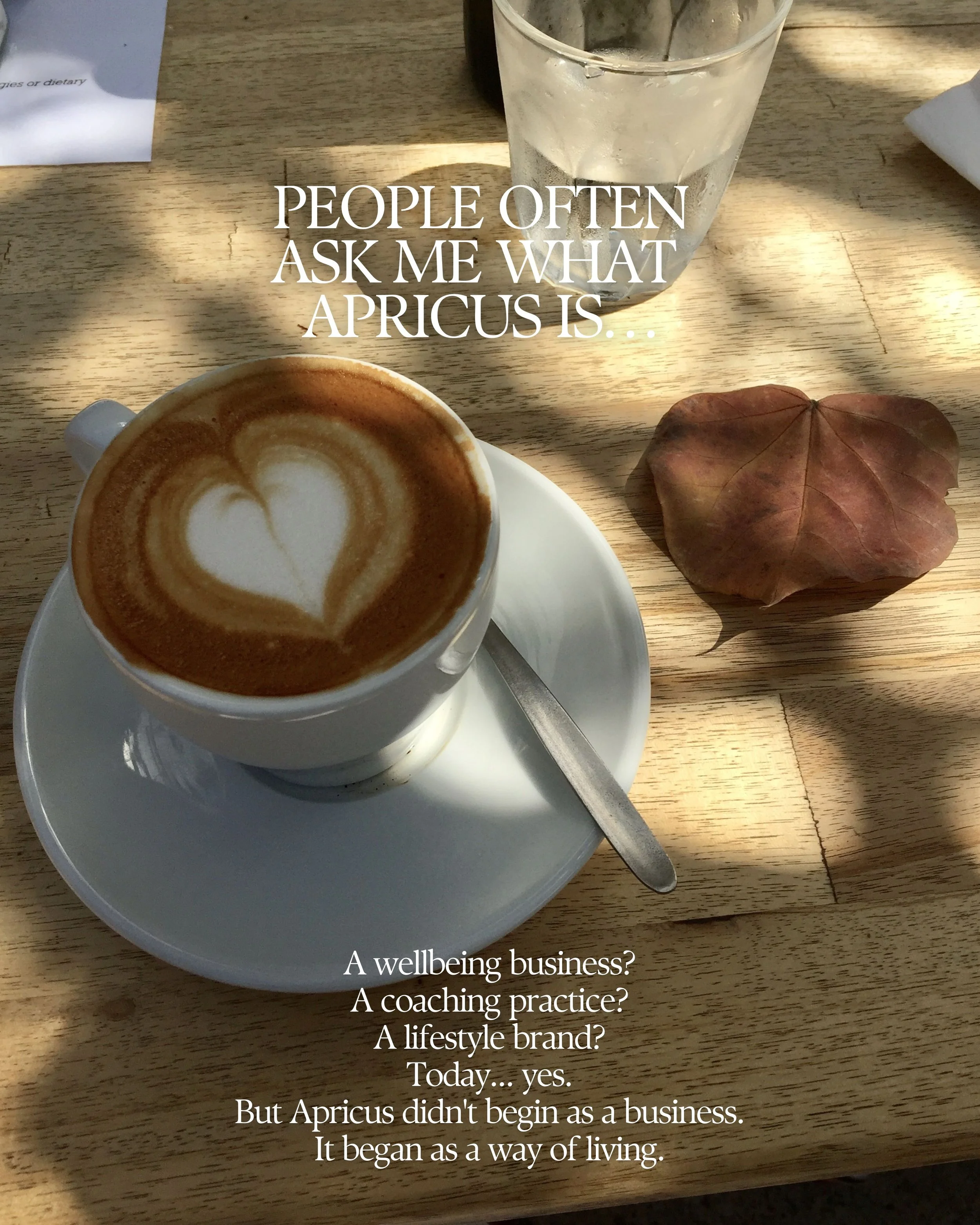 Under the Apricus sun 2.JPG