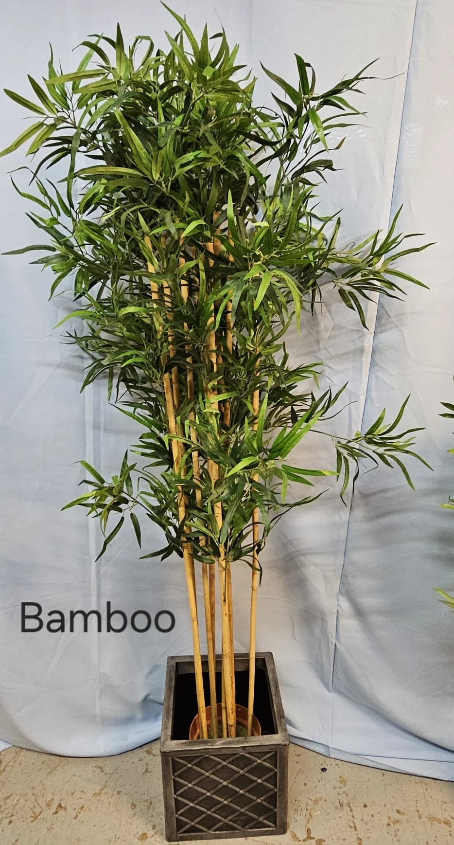 WhatsApp Image 2026-03-13 at 15.25.26.jpeg