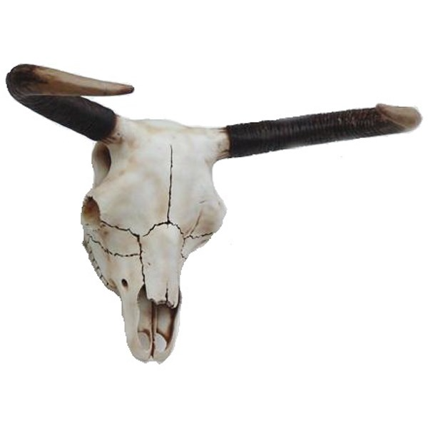 Bull Skull 3D Model.png
