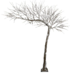 Branches - Frosted Branch.png