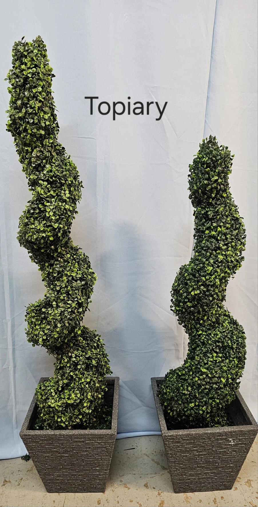 WhatsApp Image 2026-03-13 at 15.25.28 (5).jpeg