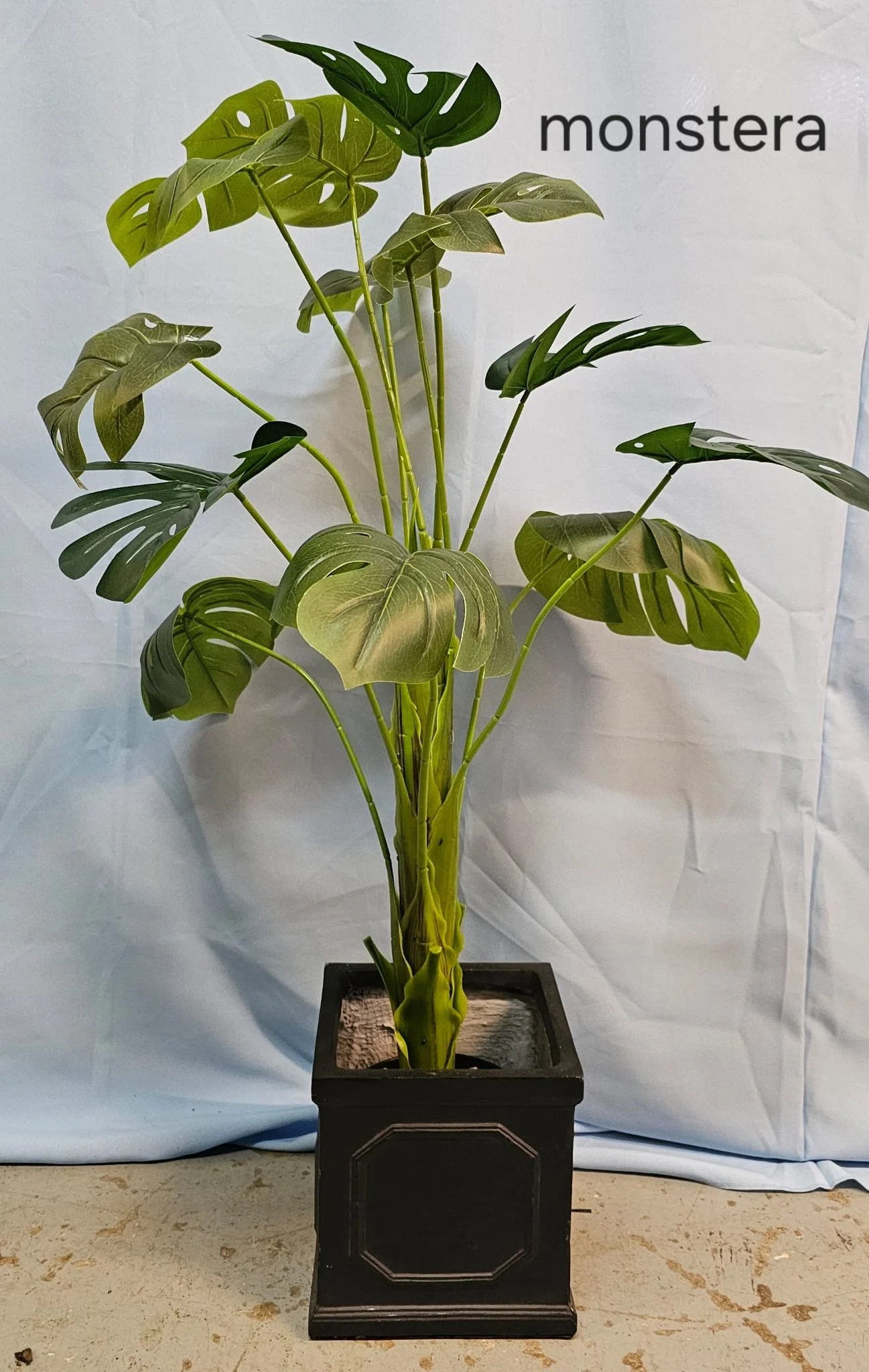 WhatsApp Image 2026-03-13 at 15.25.27 (5).jpeg