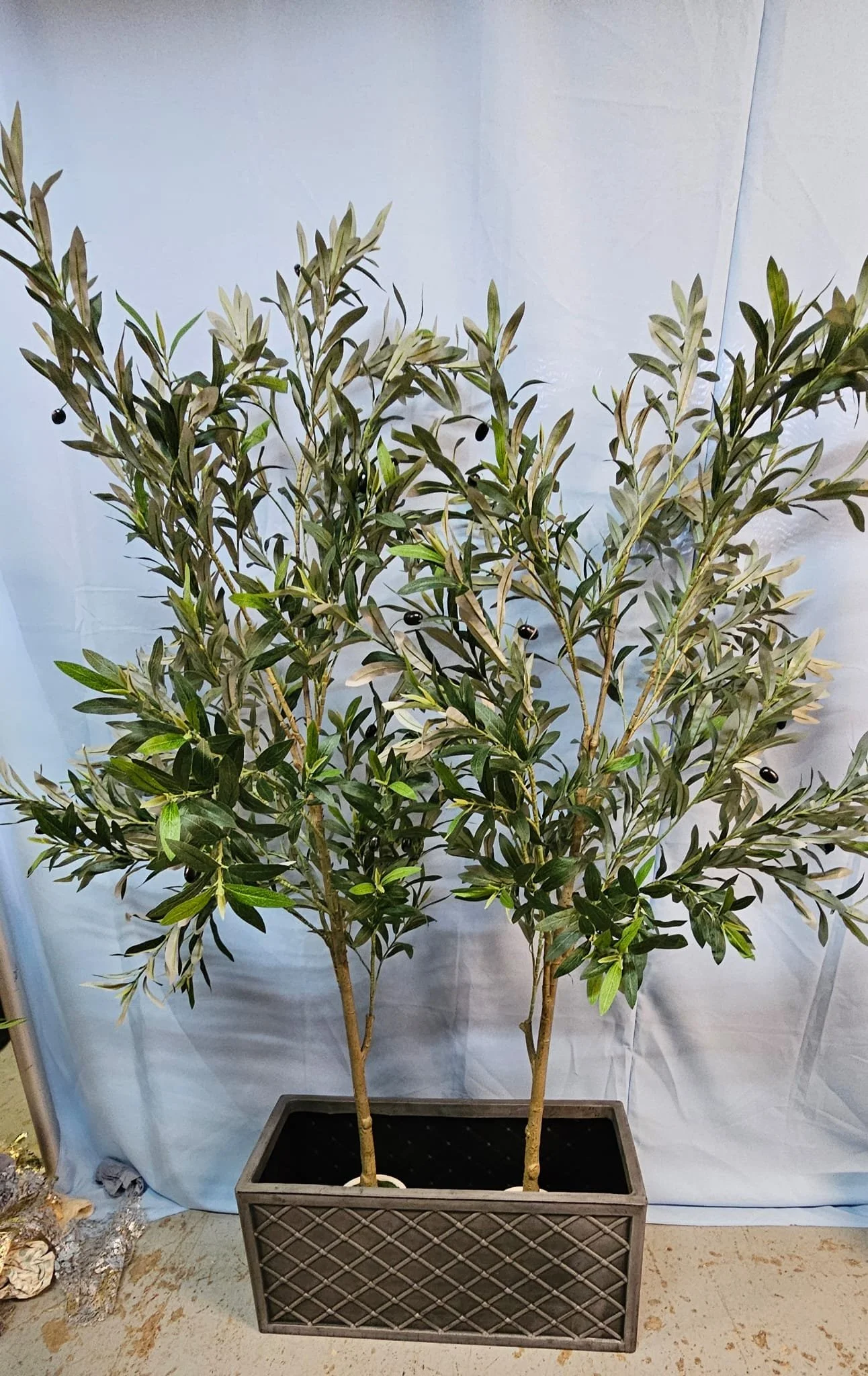 WhatsApp Image 2026-03-13 at 15.25.27 (3).jpeg