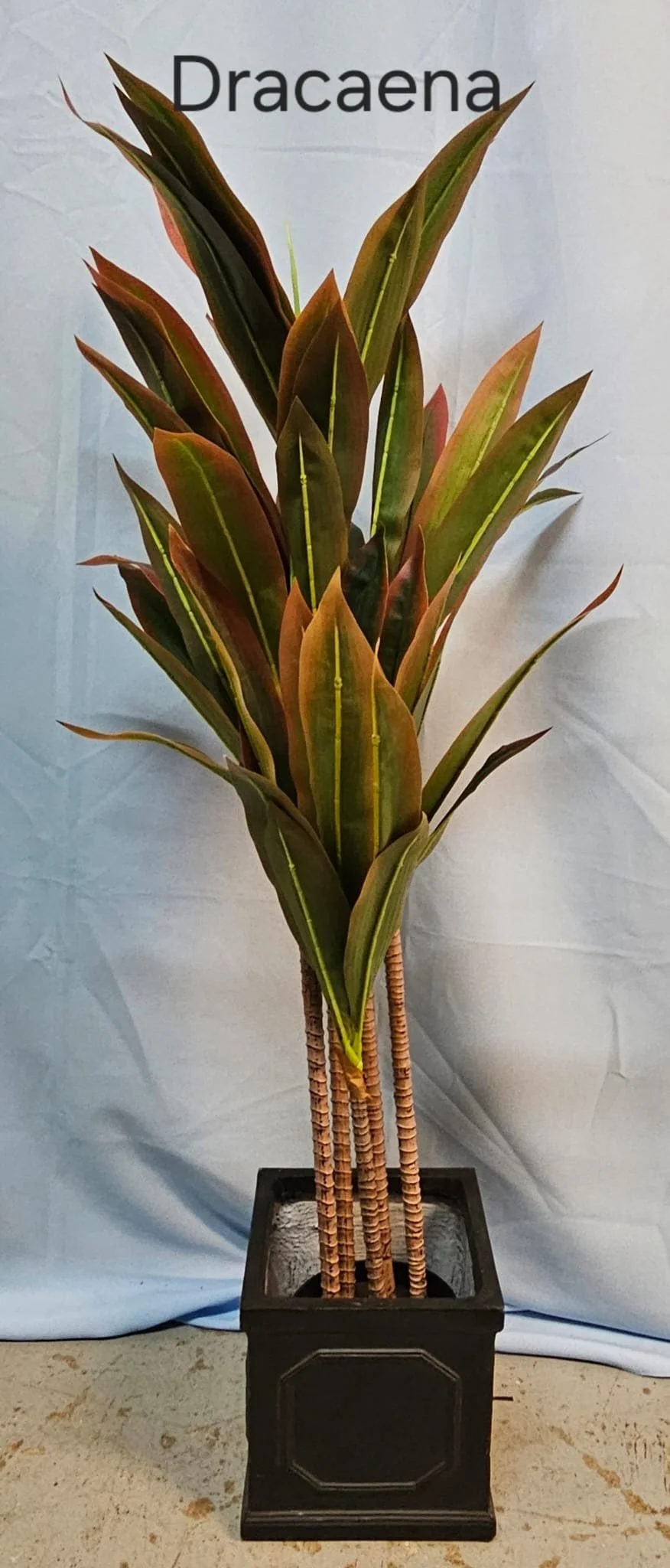 WhatsApp Image 2026-03-13 at 15.25.28.jpeg