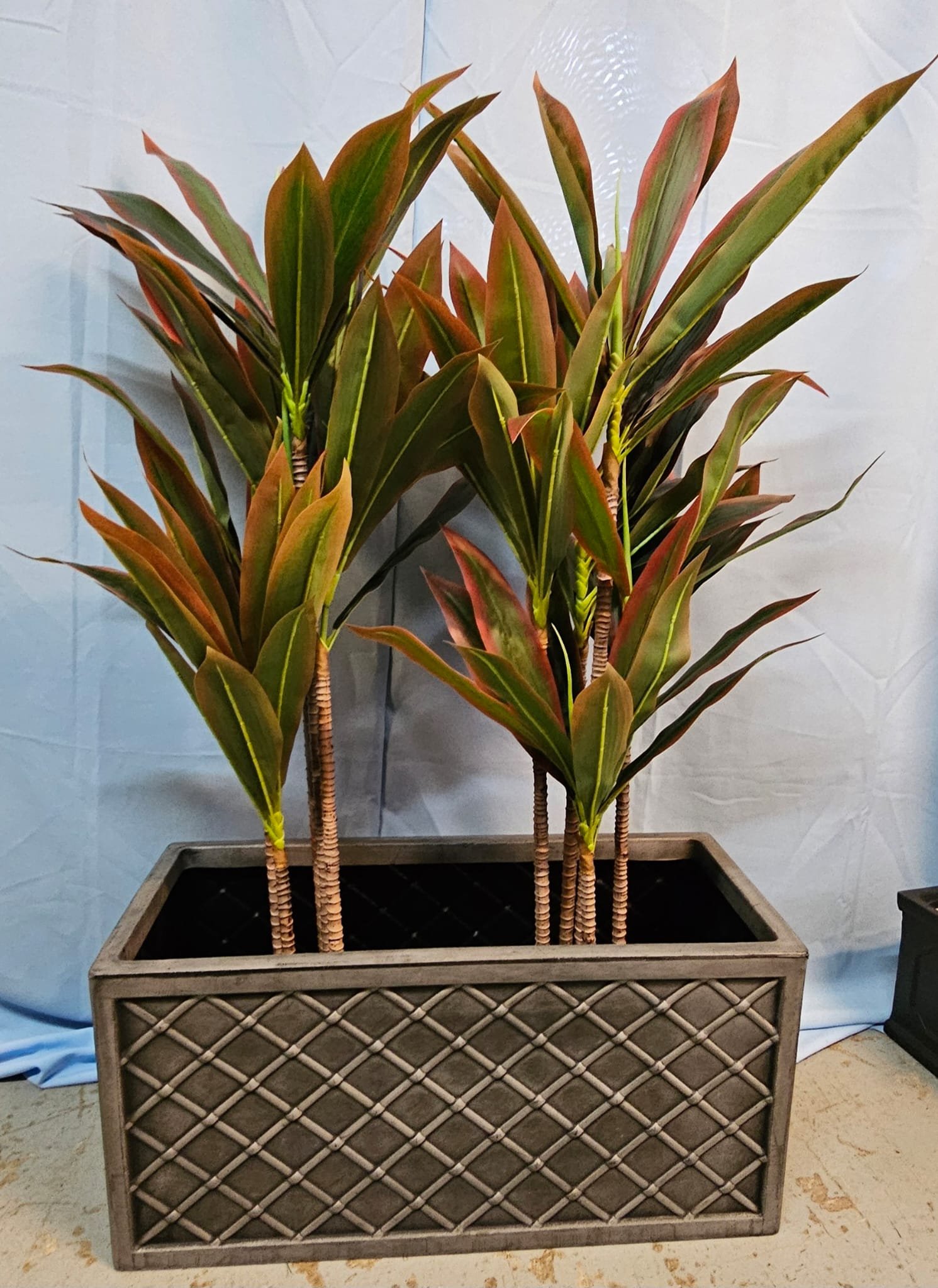 WhatsApp Image 2026-03-13 at 15.25.28 (1).jpeg