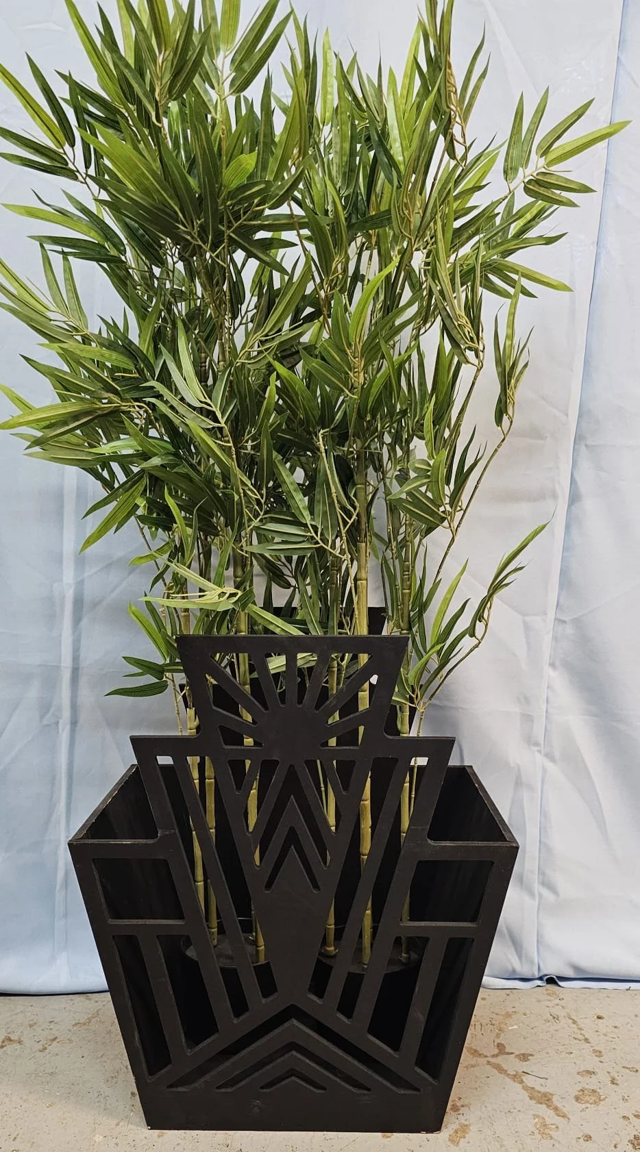 WhatsApp Image 2026-03-13 at 15.25.28 (2).jpeg