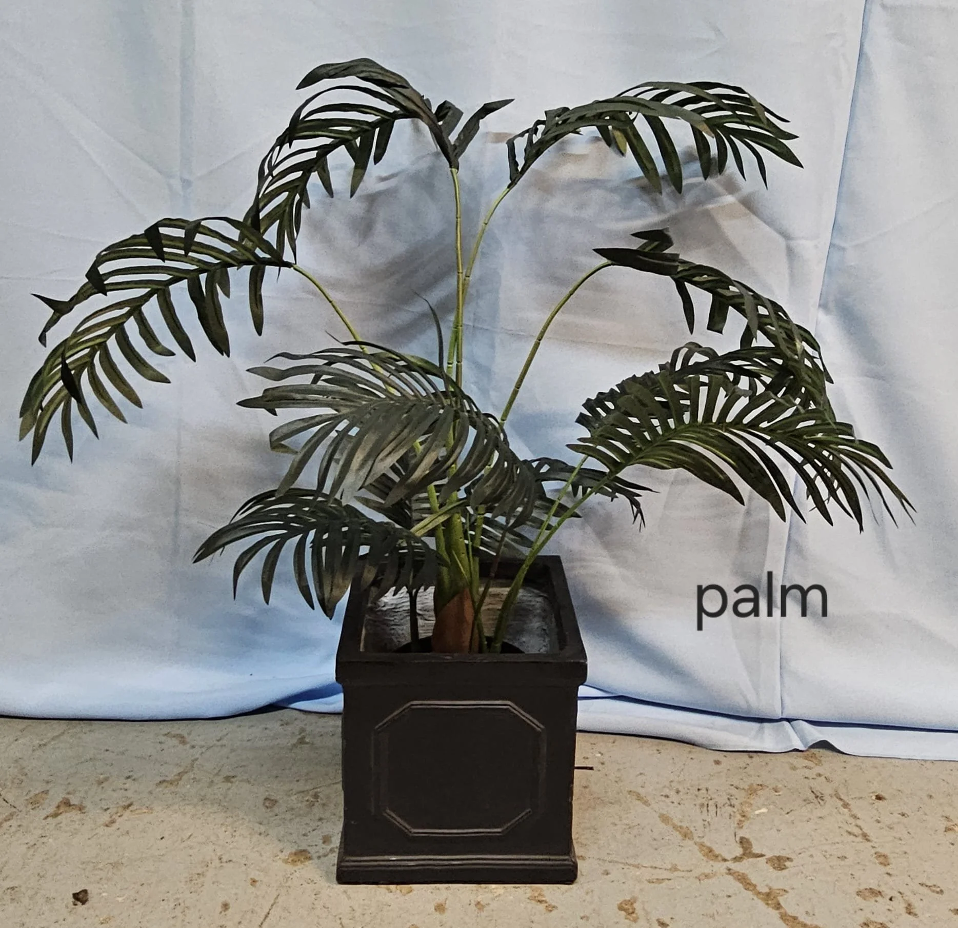 WhatsApp Image 2026-03-13 at 15.25.27 (6).jpeg