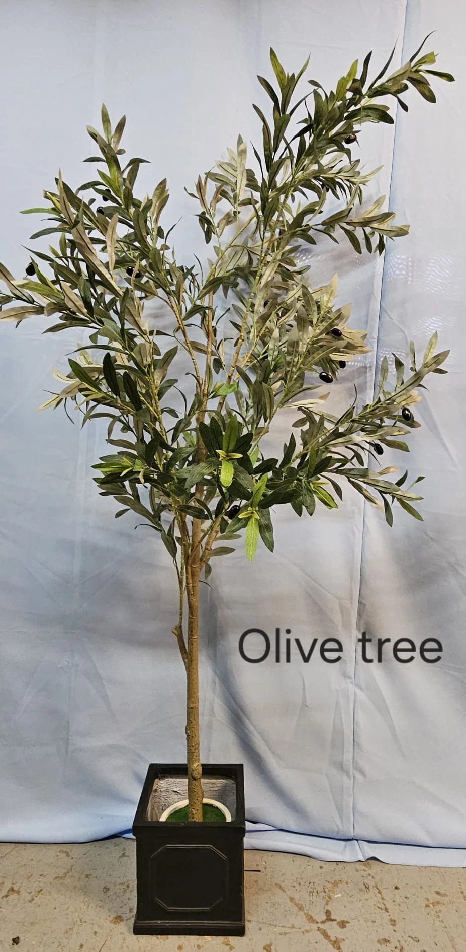 WhatsApp Image 2026-03-13 at 15.25.27 (4).jpeg