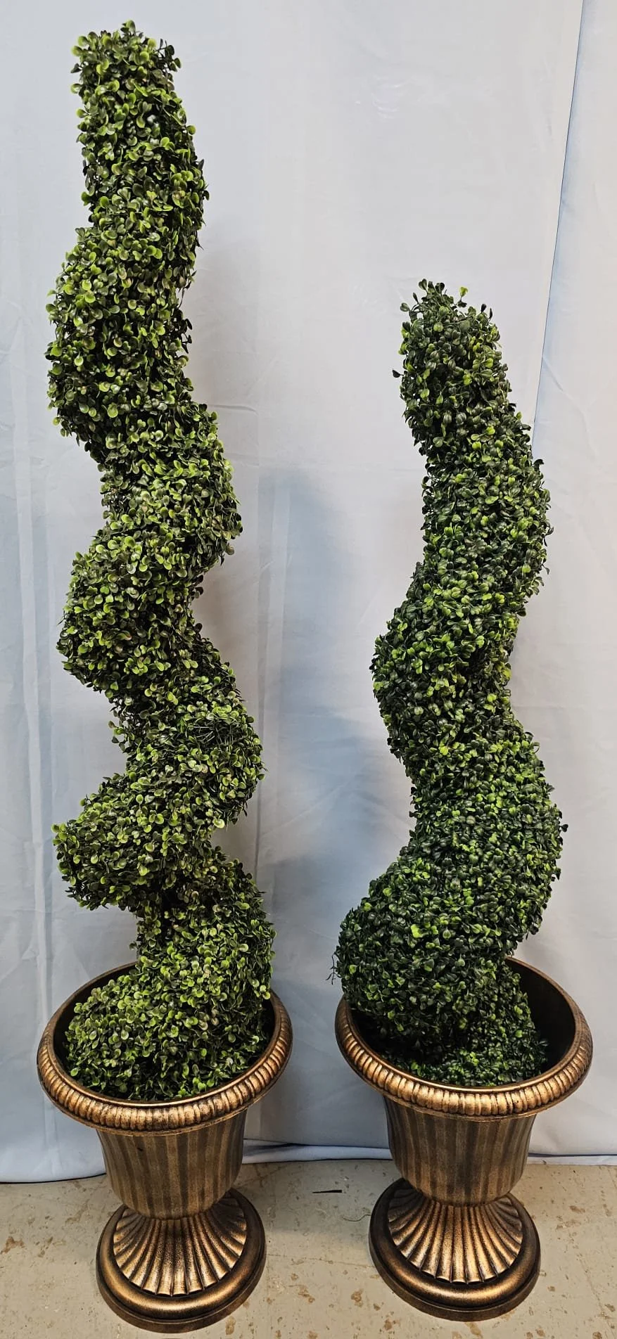 WhatsApp Image 2026-03-13 at 15.25.28 (4).jpeg