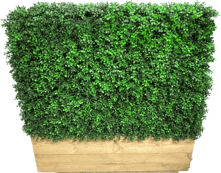 Buxus Hedge c_w Wood Trough.png
