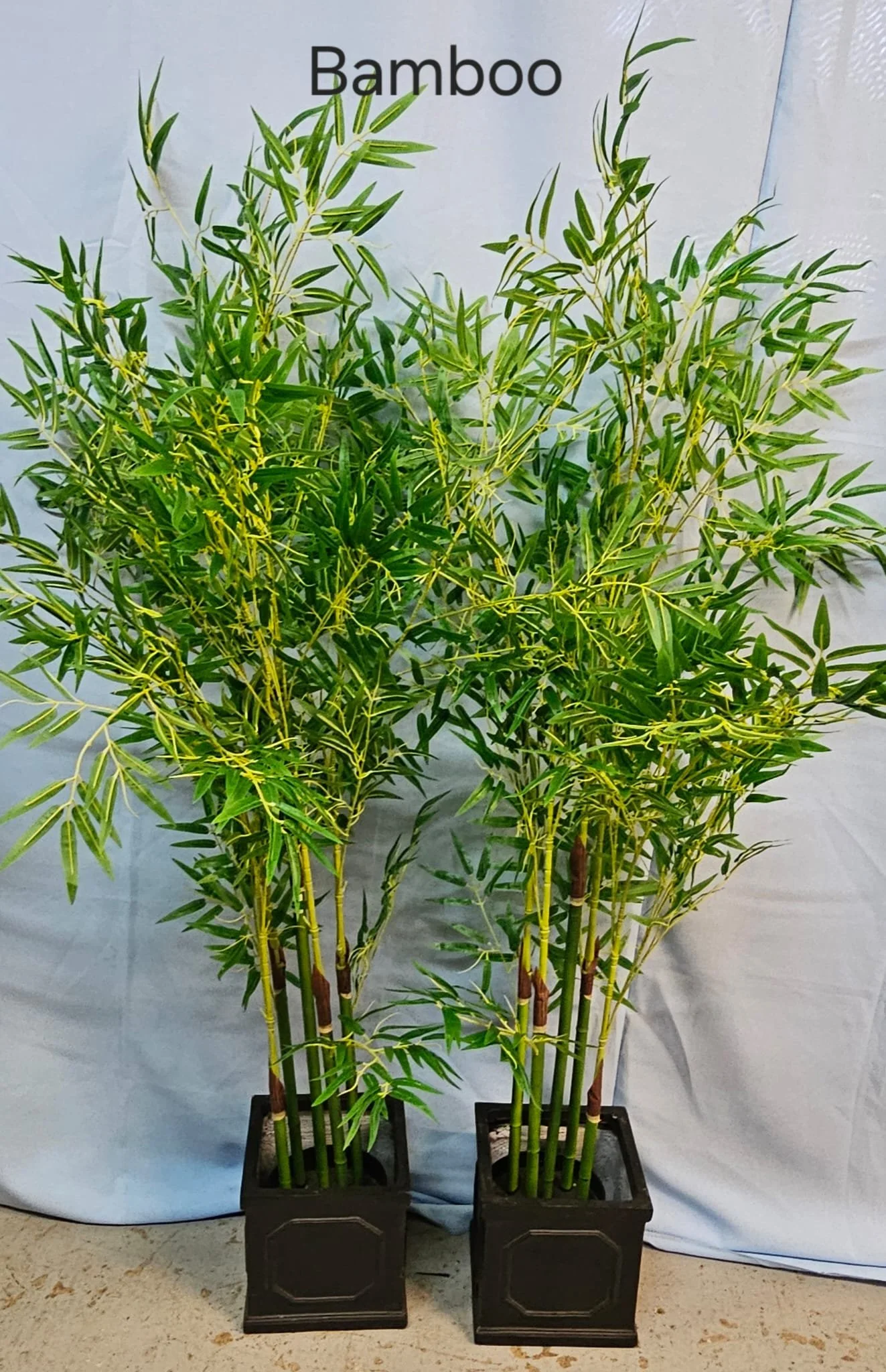 WhatsApp Image 2026-03-13 at 15.25.27 (1).jpeg