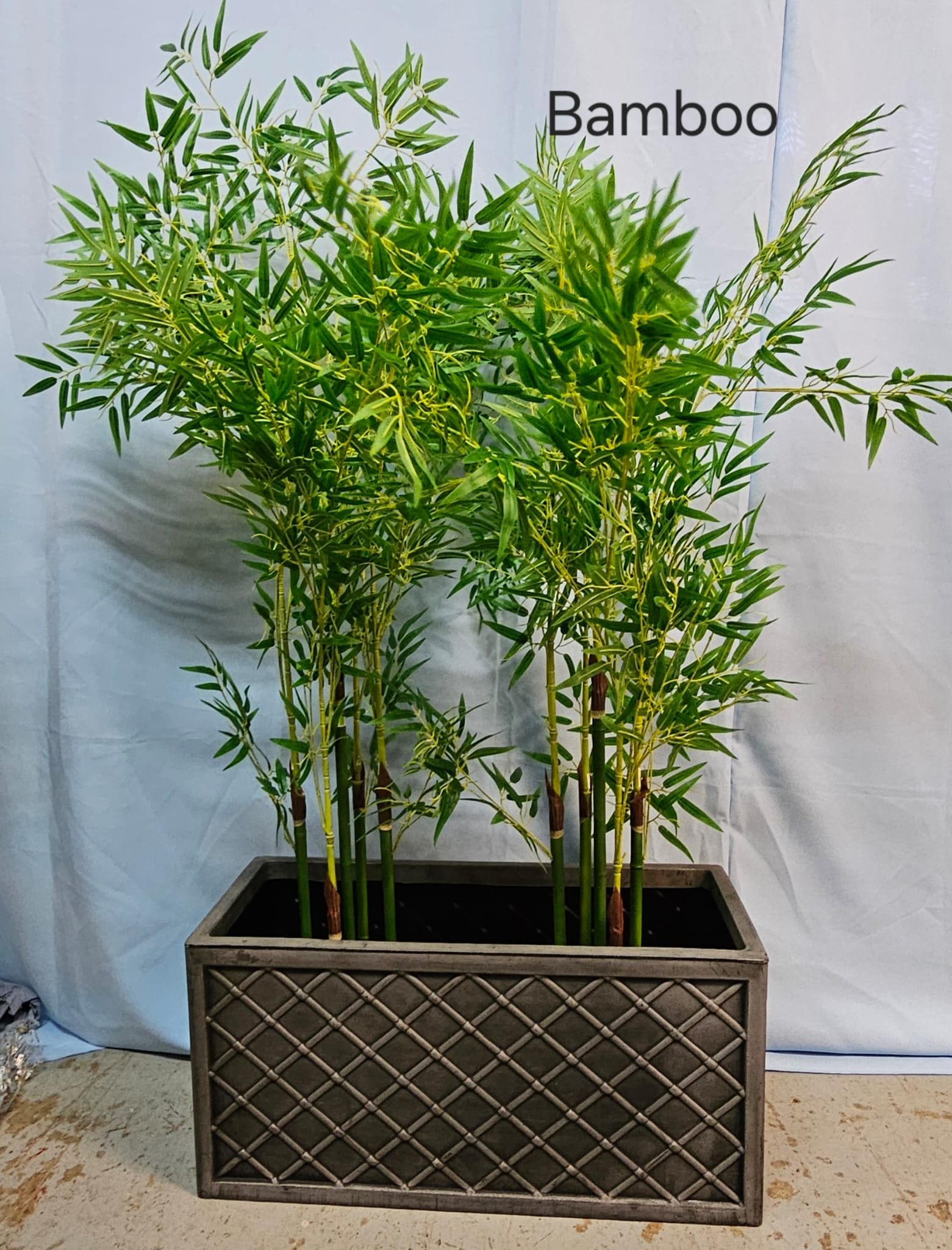 WhatsApp Image 2026-03-13 at 15.25.27 (2).jpeg