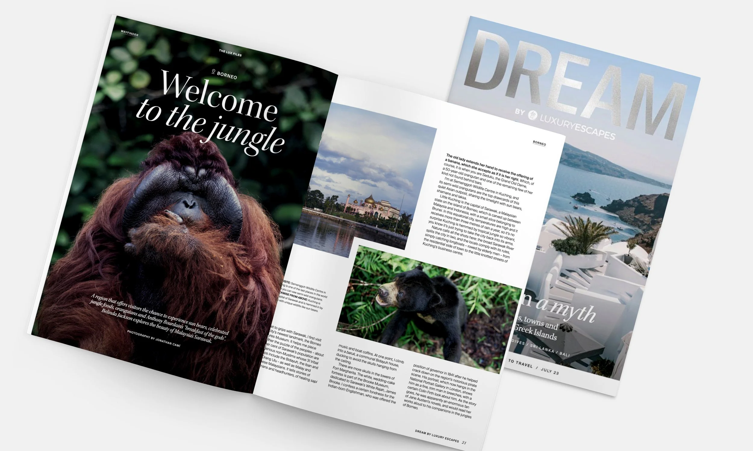 portfolio-LE dream5.jpg