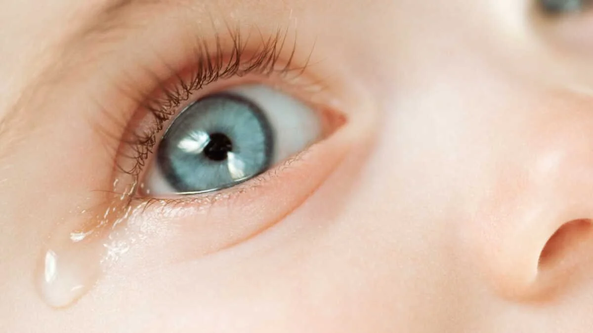 L'œil de votre bébé pleure ou coule constamment ? Tout savoir sur le canal lacrymal bouché