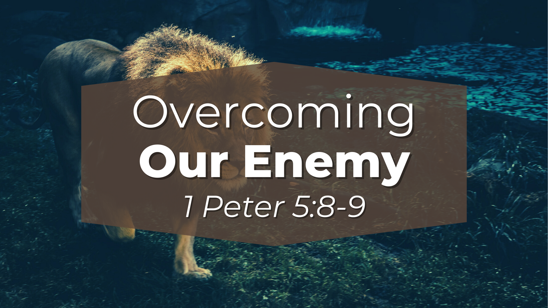When the Lion Roars: How to Overcome Temptation
