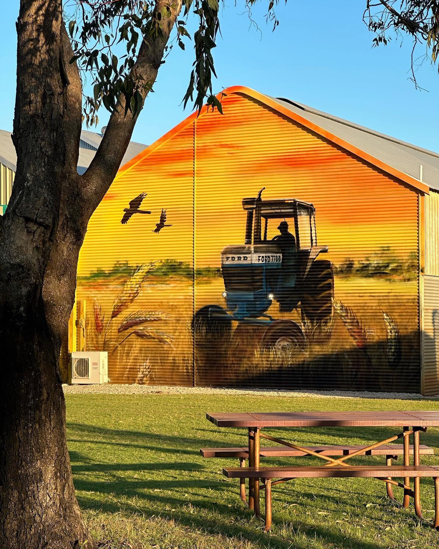 This was hard. π«
I realised I don’t like painting cars or mechanical bits and pieces. I was nervous for this commission and made it a bigger deal in my head than needed. A tractor on corrugation was a challenge for sure.. but so glad I accept