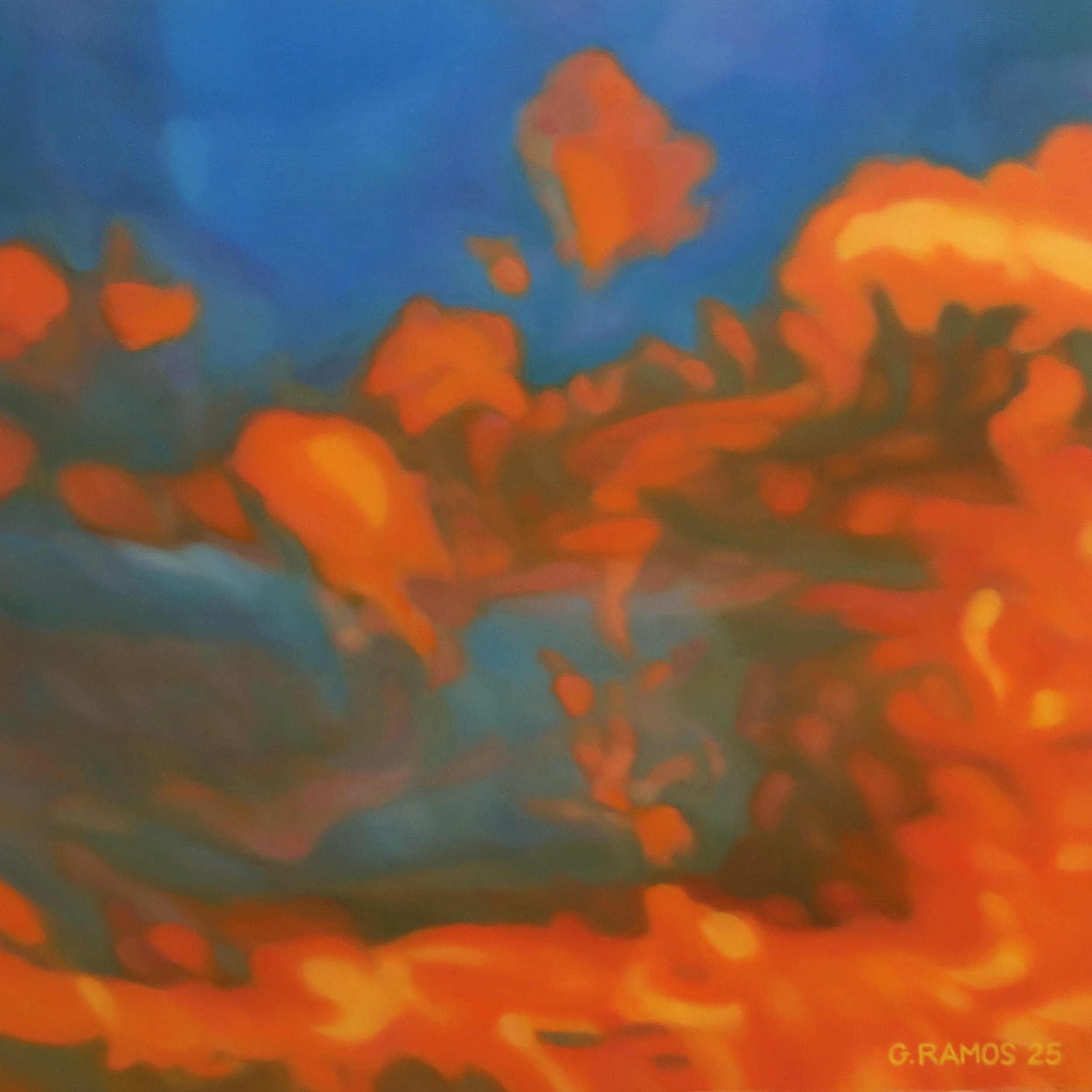 P 17.jpg