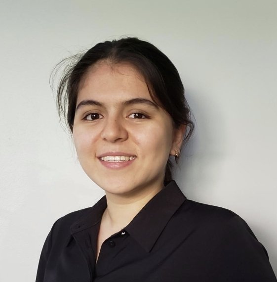 Leveraging Modern Language Modeling Technologies to Detect Duplicate Legislative Service Requests