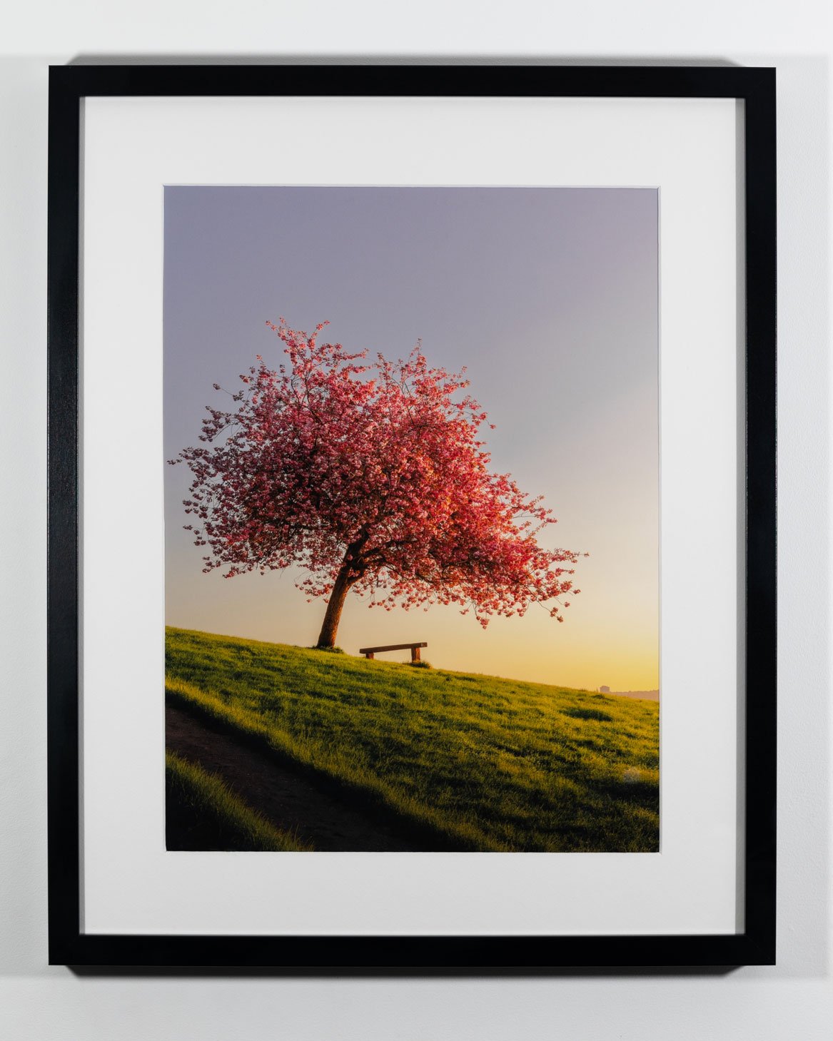 Cherry Sunrise photograph showcased in a stylish frame