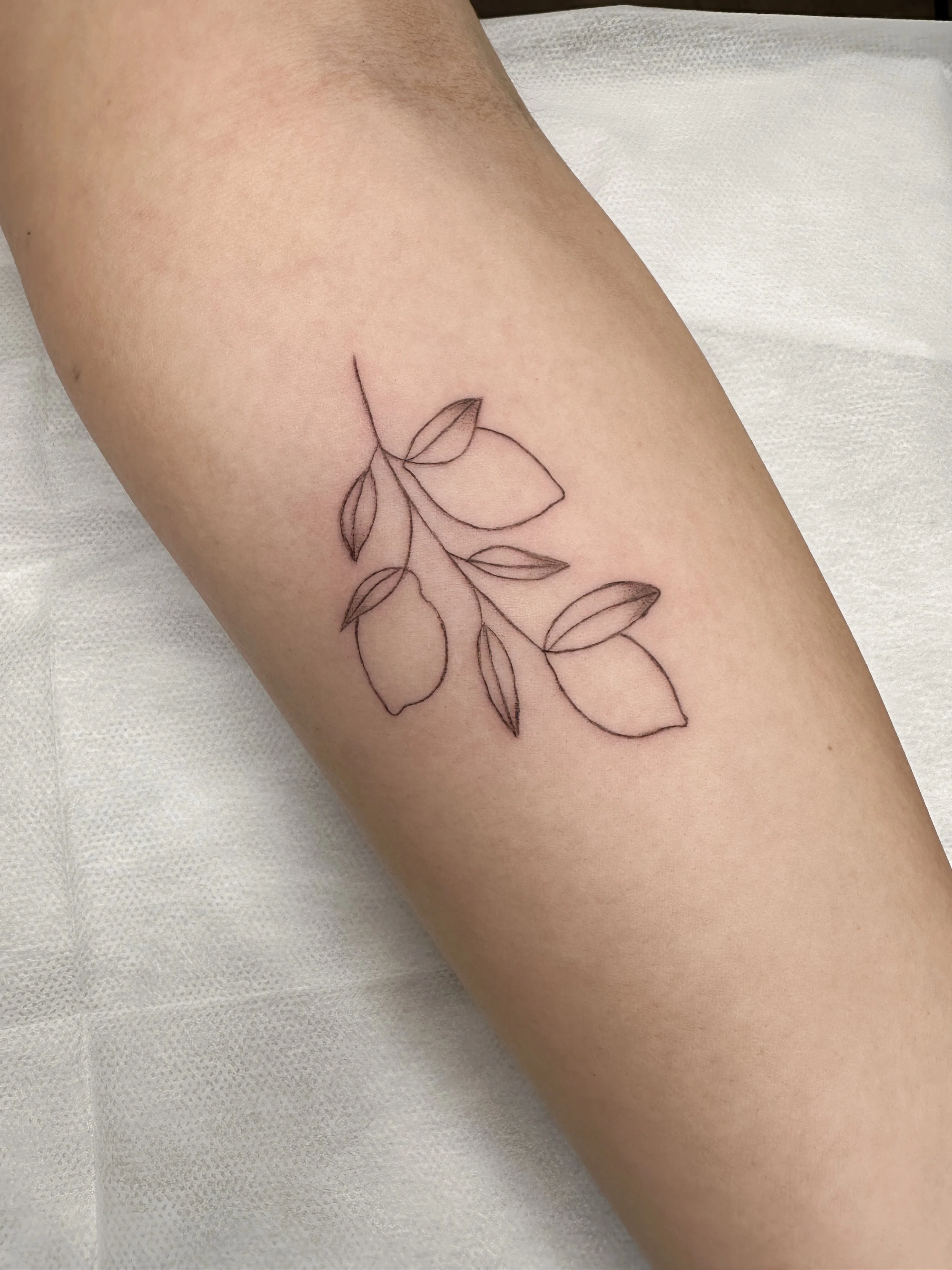 🍋🐟🥖⛓️&zwj;💥🐑

Red Bank TN Fine Line Tattoo | Dainty Tattoos | Tiny Tattoos Near Me | Chattanooga Tattoos | Small Business

#redbanktn #chattanoogatattoo