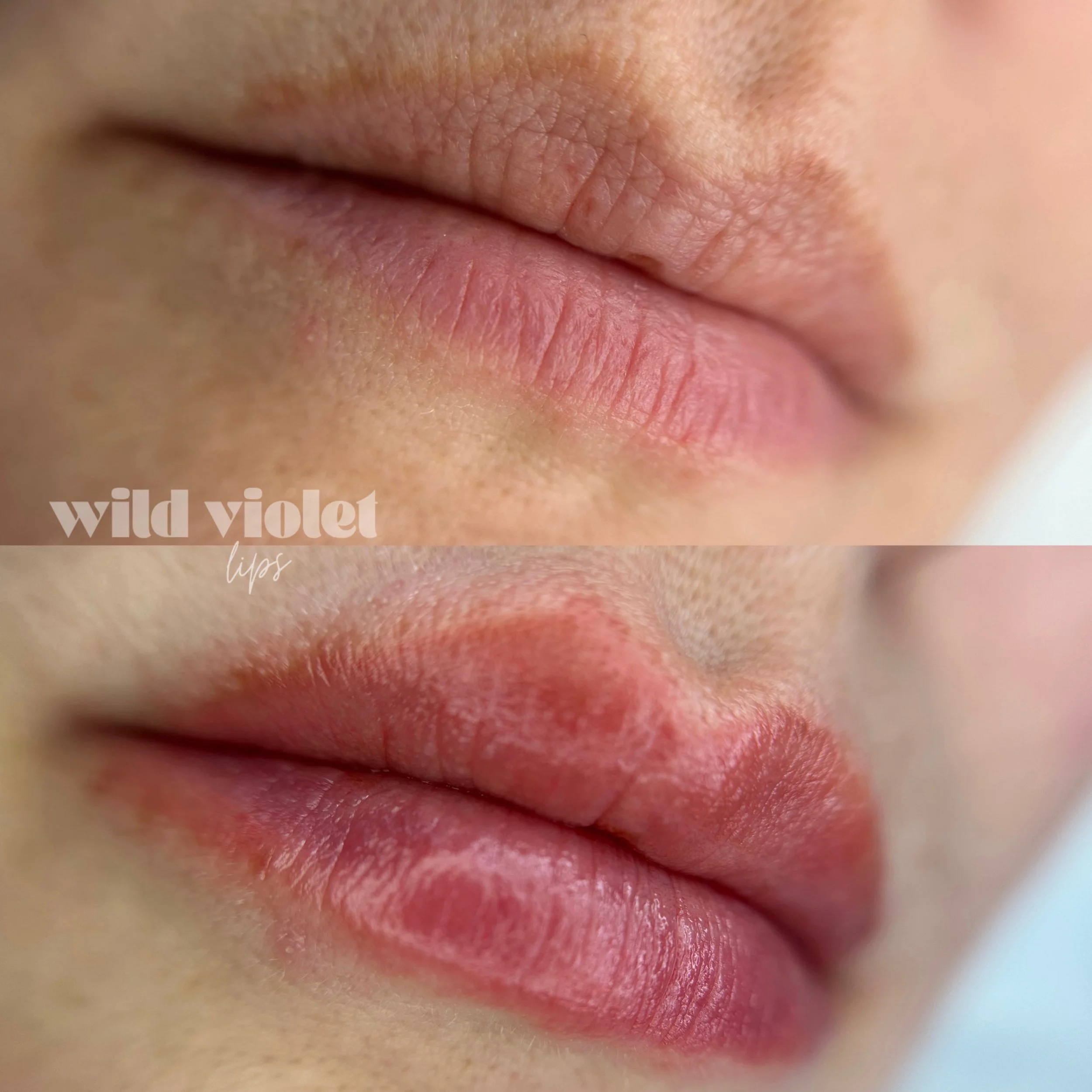 9A6993B9-69FC-448E-957F-ACF22981E5A2 2.JPEG