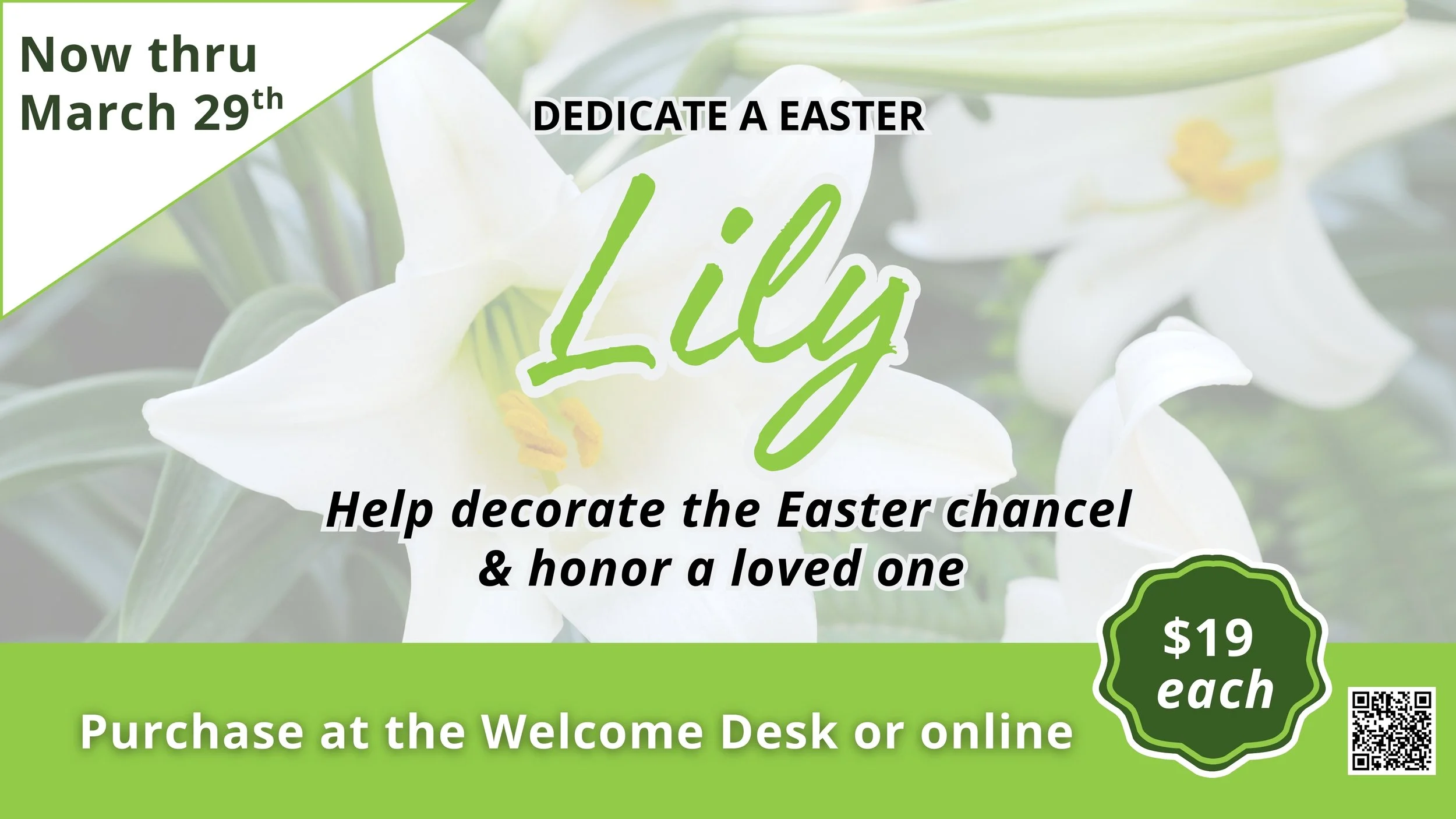 Easter Lilies for the Chancel