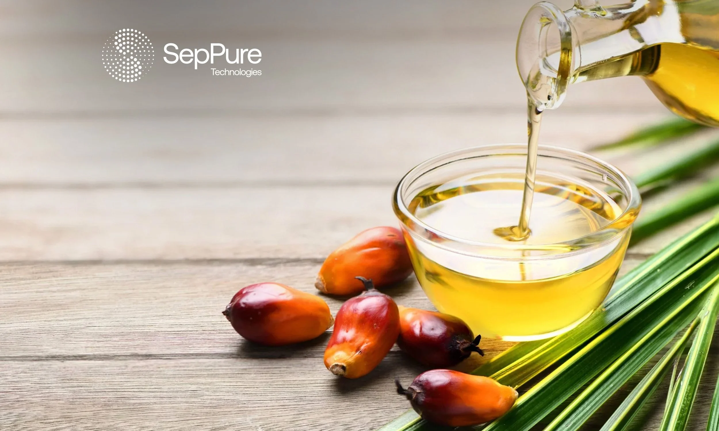 Sustainable Approaches to Palm Oil Fractionation