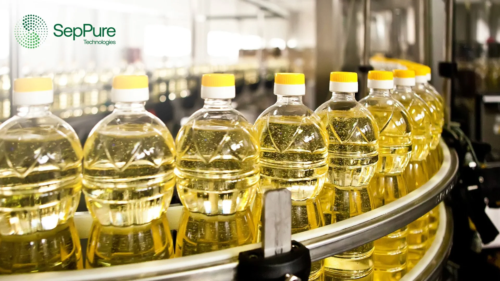 Sunflower oil bottle moving on production