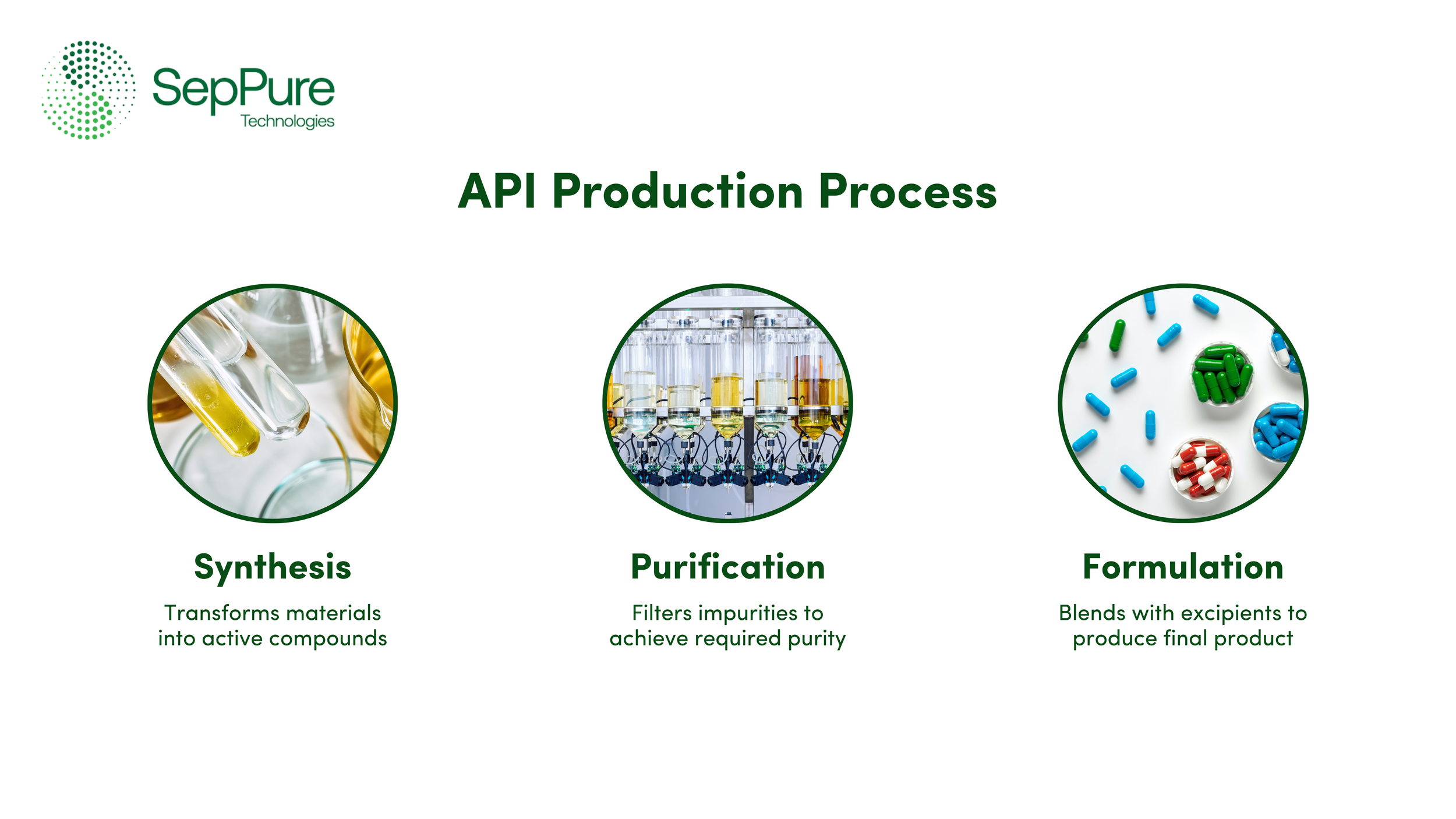 An Overview of API Production Process