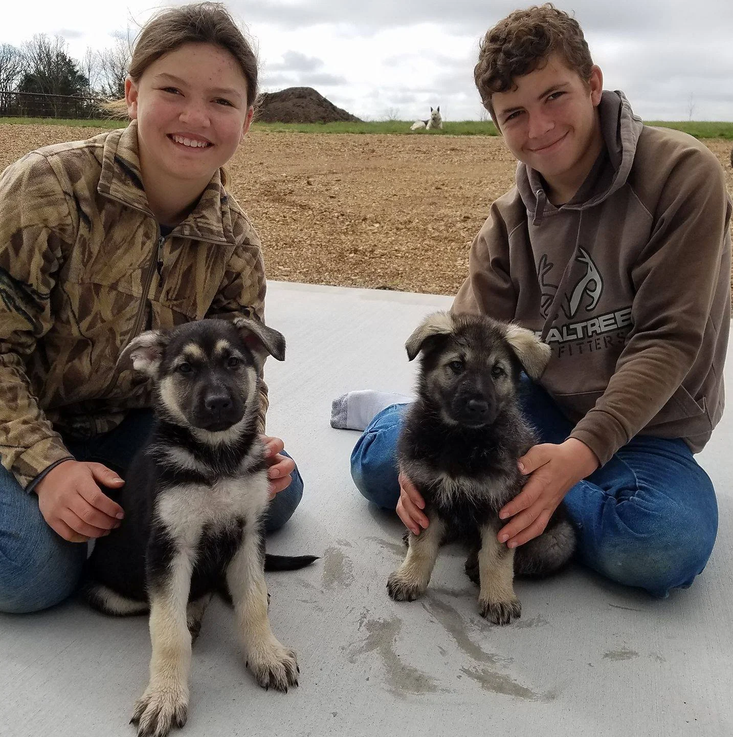 Rim-boo (Retired Queen) on the left as a pup