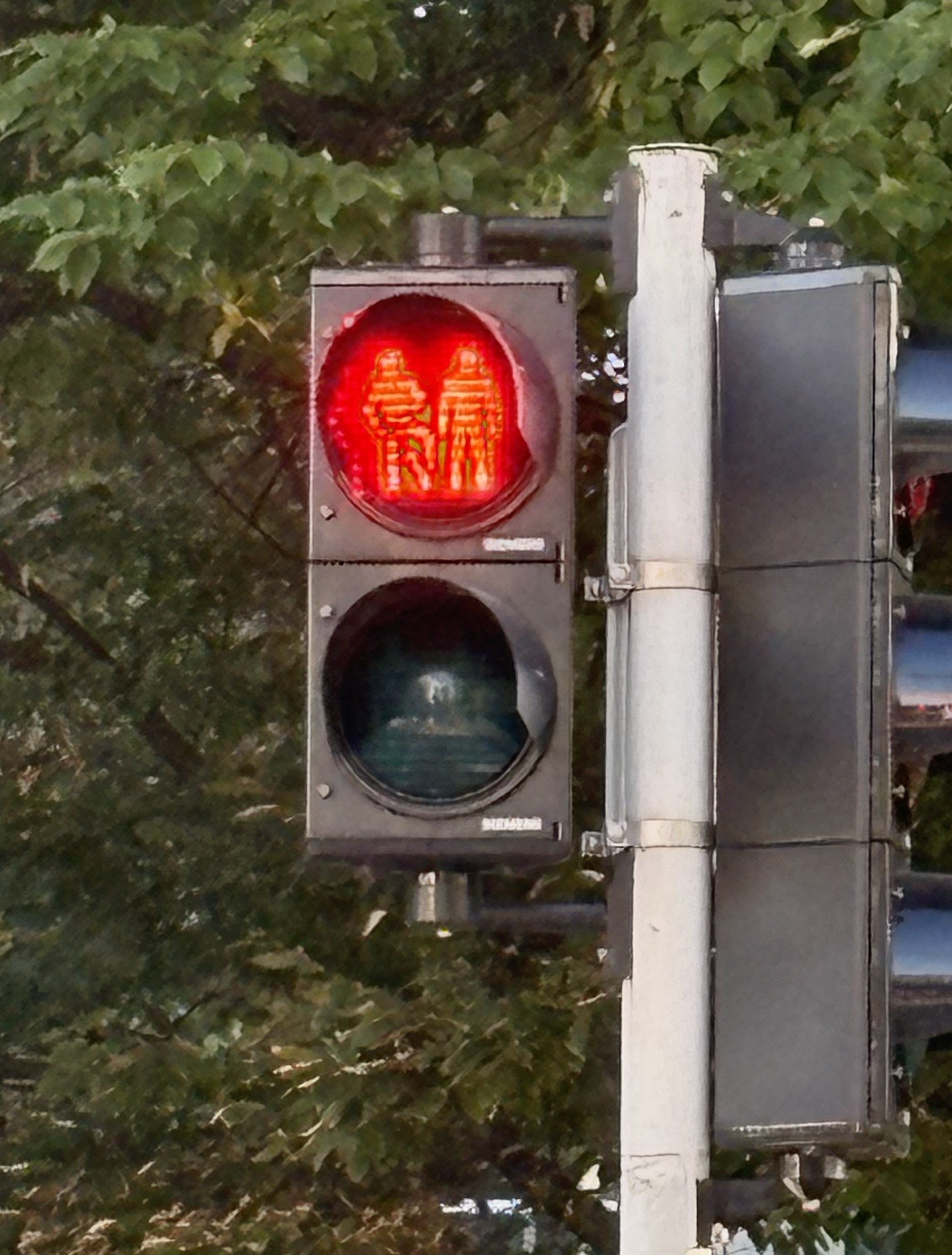 Linz red Amplemann