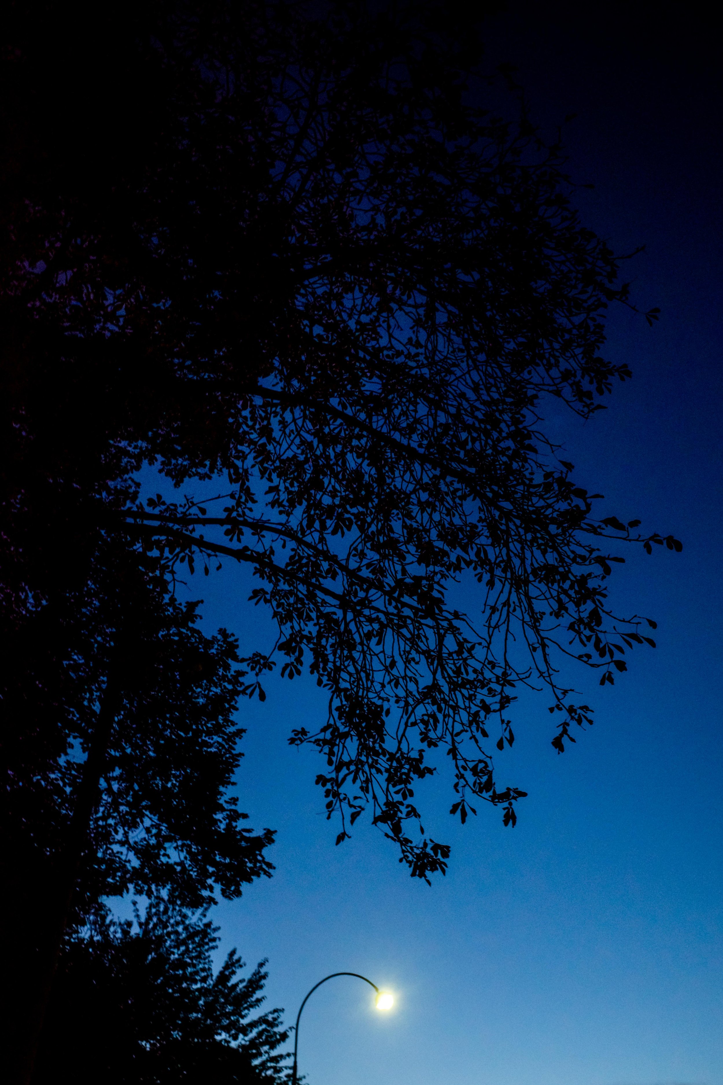 R0002498.jpg