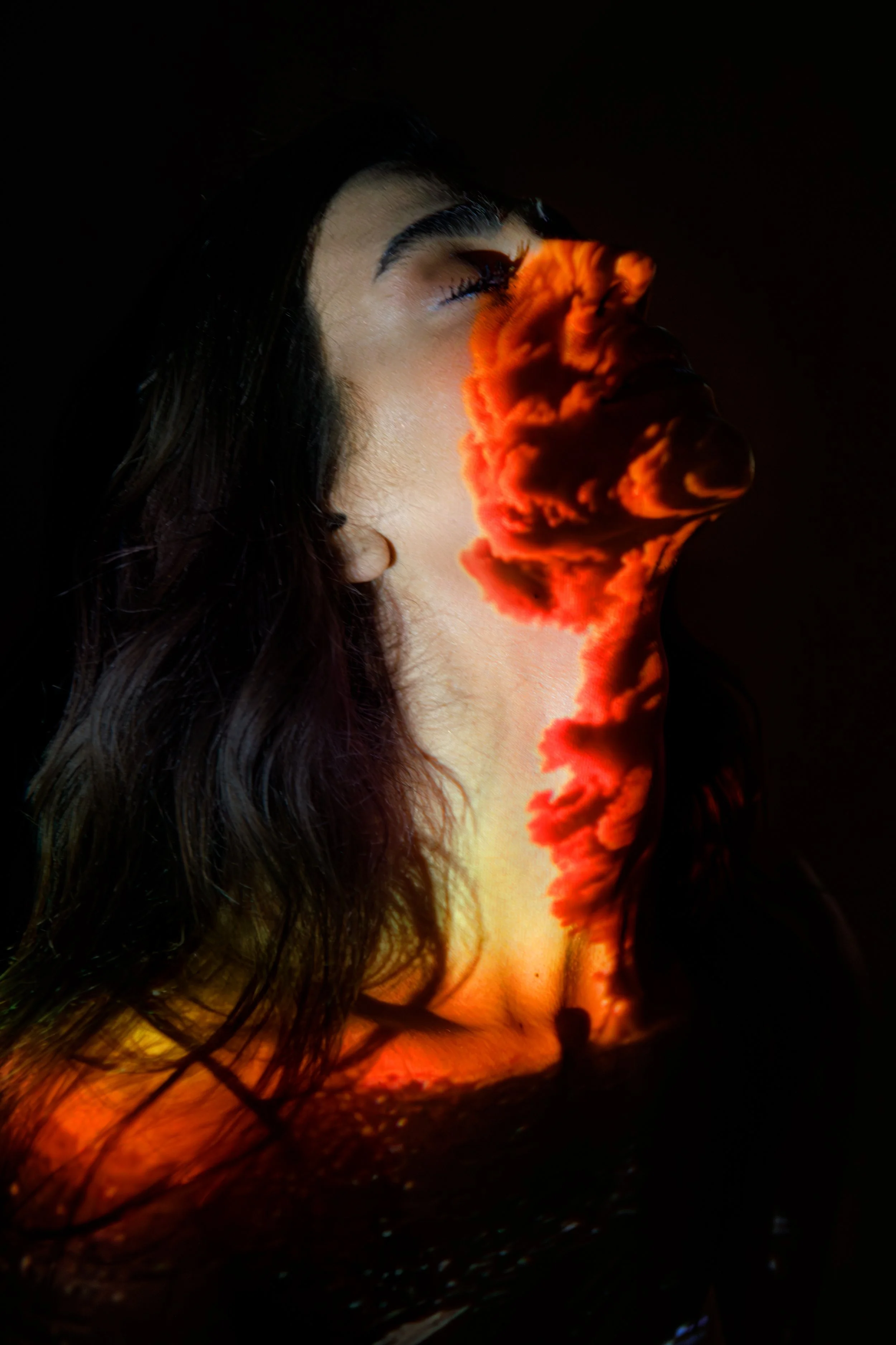 F13A0173-Enhanced-NR-Edit.jpg