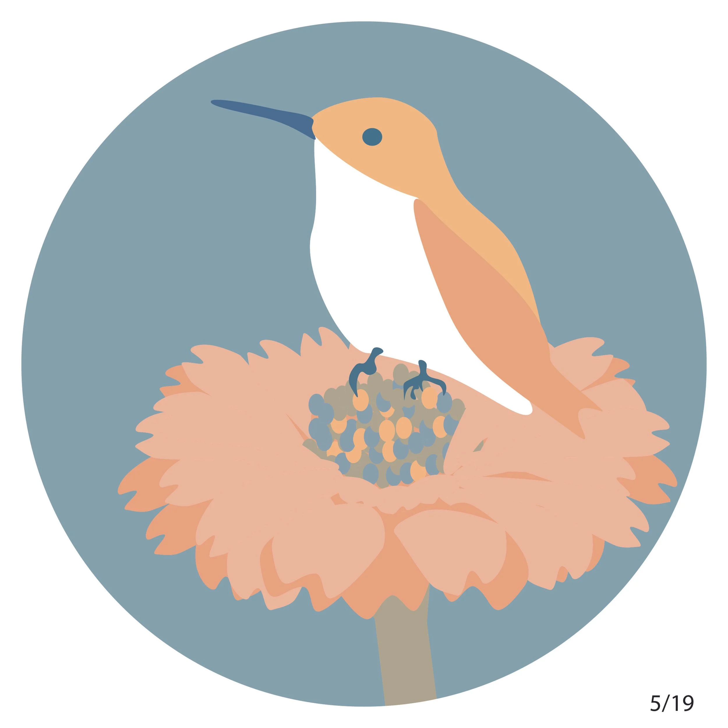 Design Dailies-01.jpg