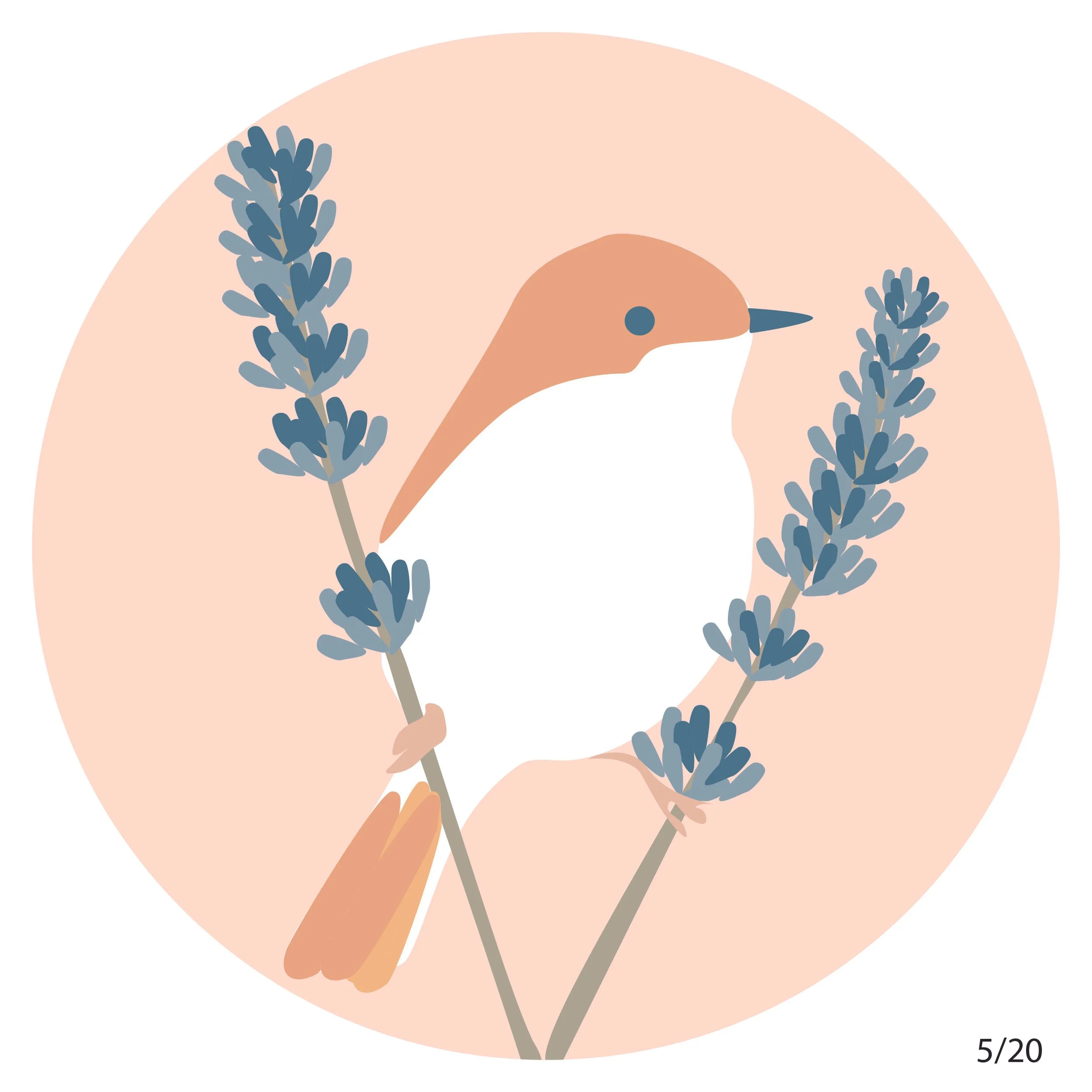 Design Dailies-02.jpg