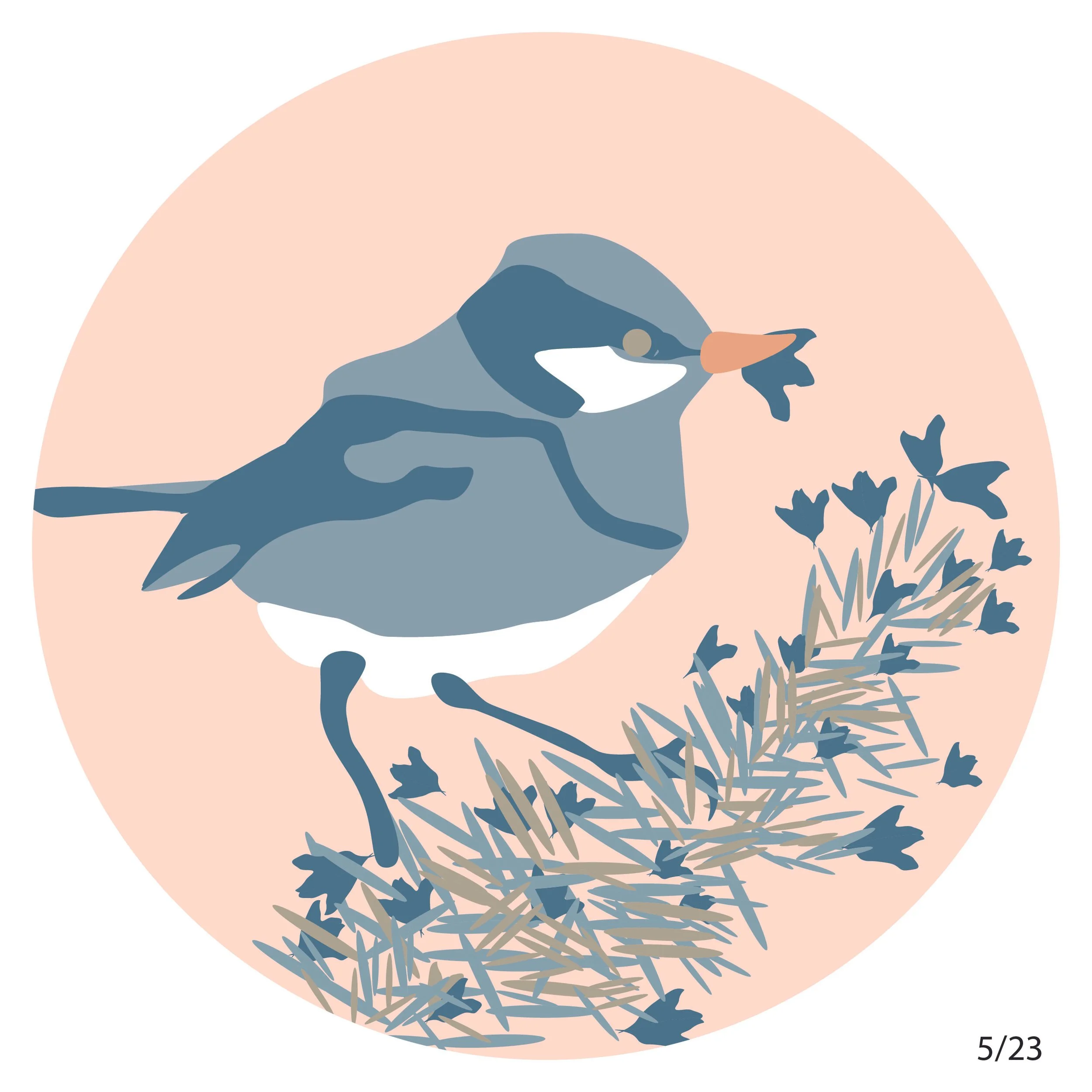 Design Dailies-04.jpg