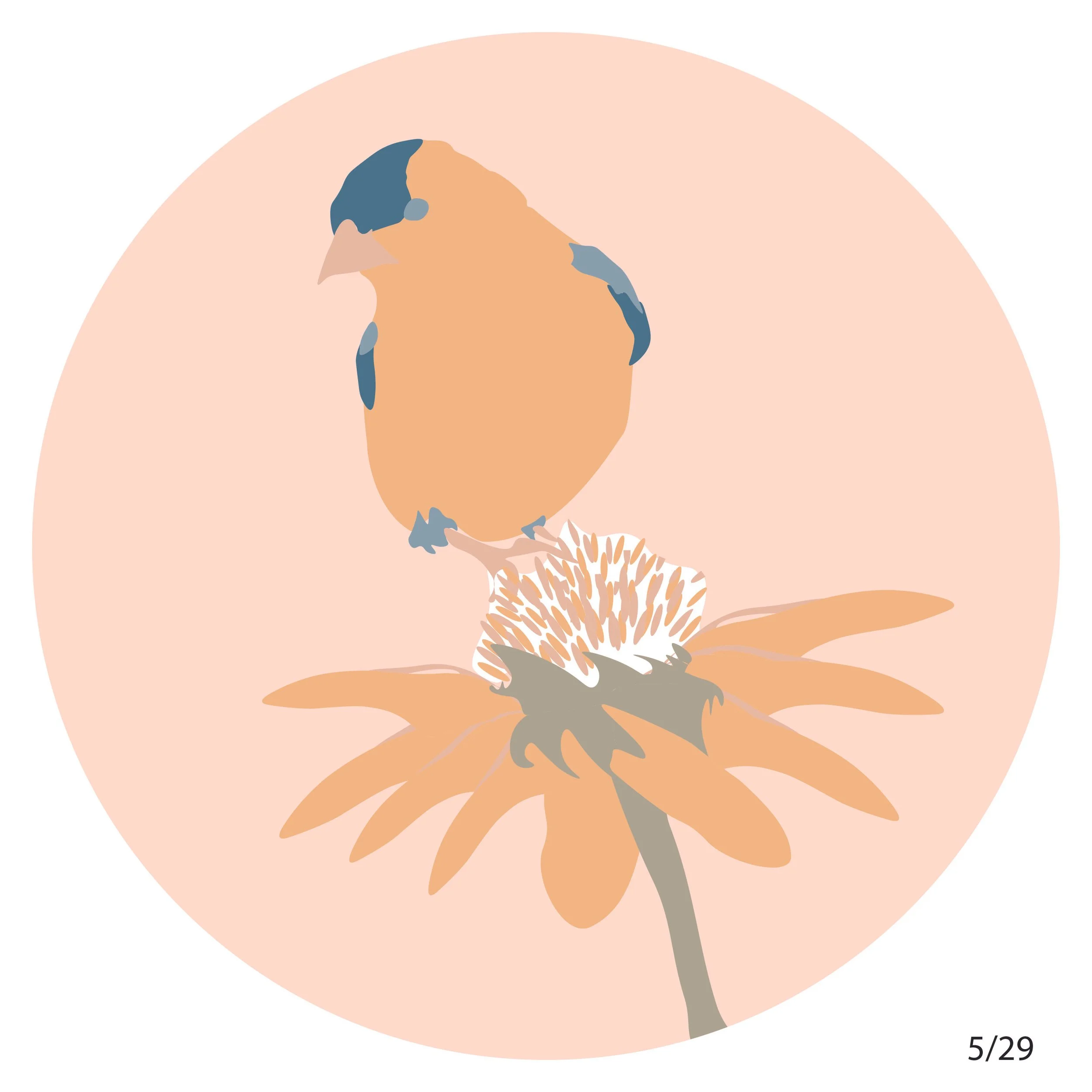 Design Dailies-06.jpg