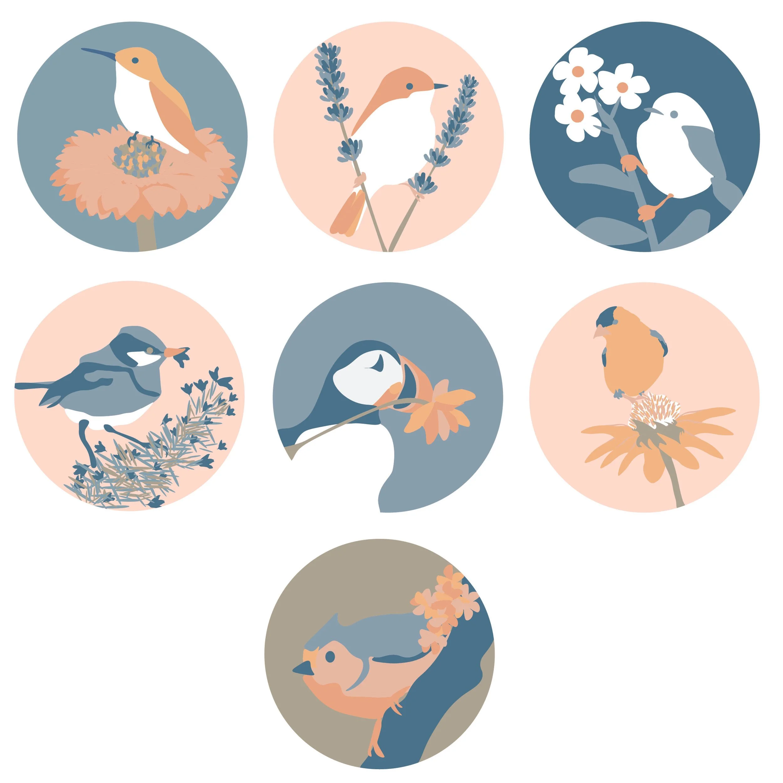 Design Dailies-08.jpg