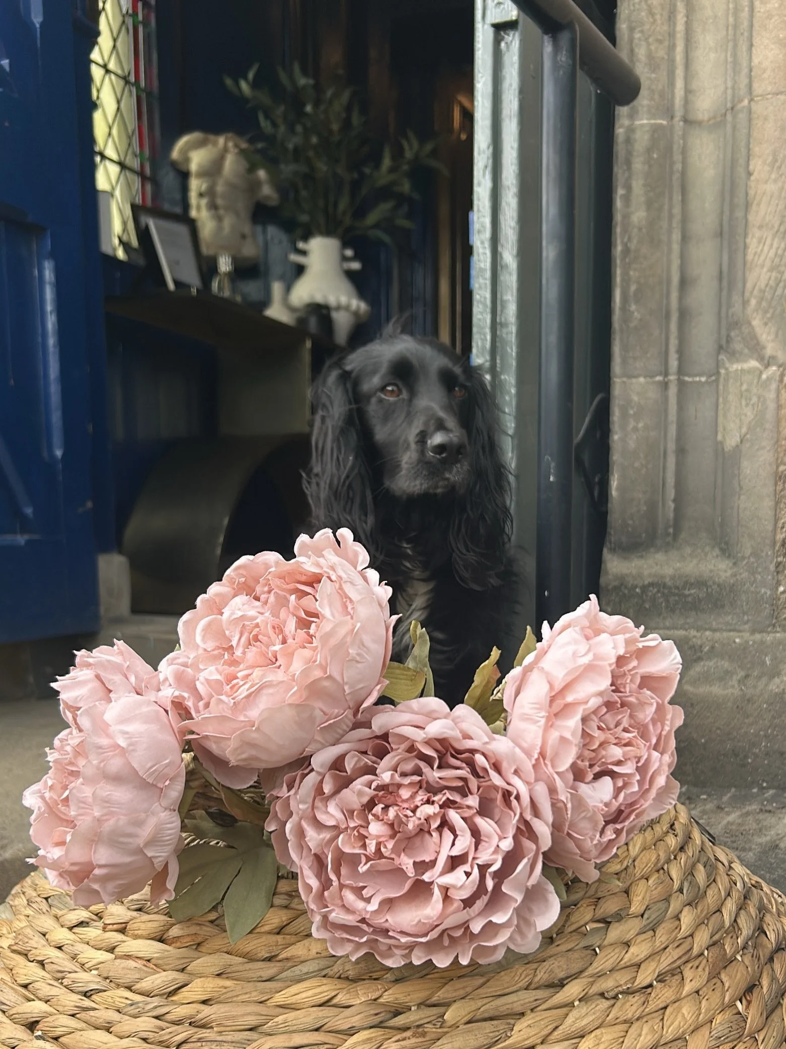 It&rsquo;s Peony season forever with our beautiful faux florals!