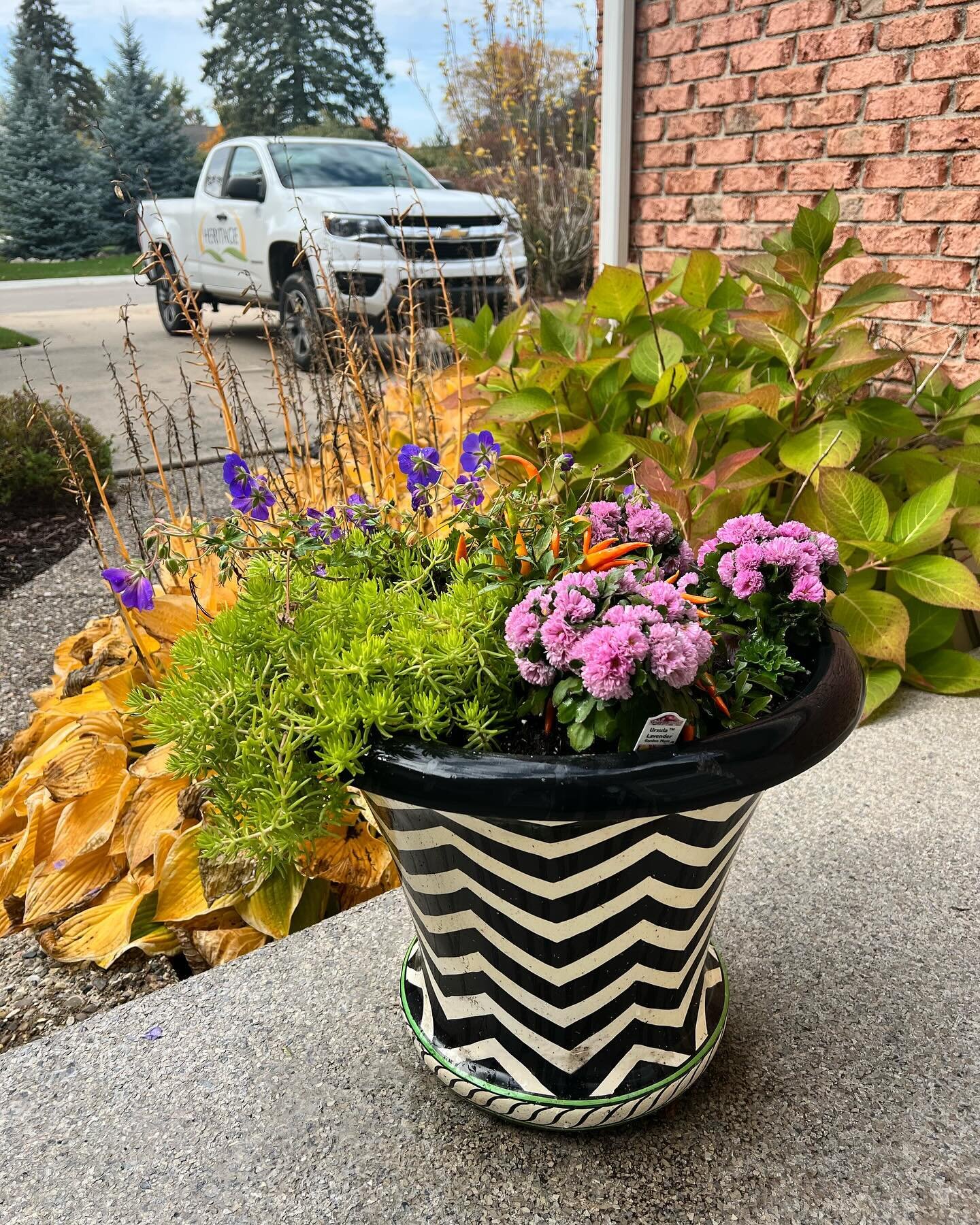 Never too late in the season 🍂  @yopatches &hellip; &hellip; &hellip; &hellip;  #landscaping #landscapephotography #flowers #flowerpower #flowerpots #horticulturist #horticulture #localbusiness #annarbor #annarborflowers