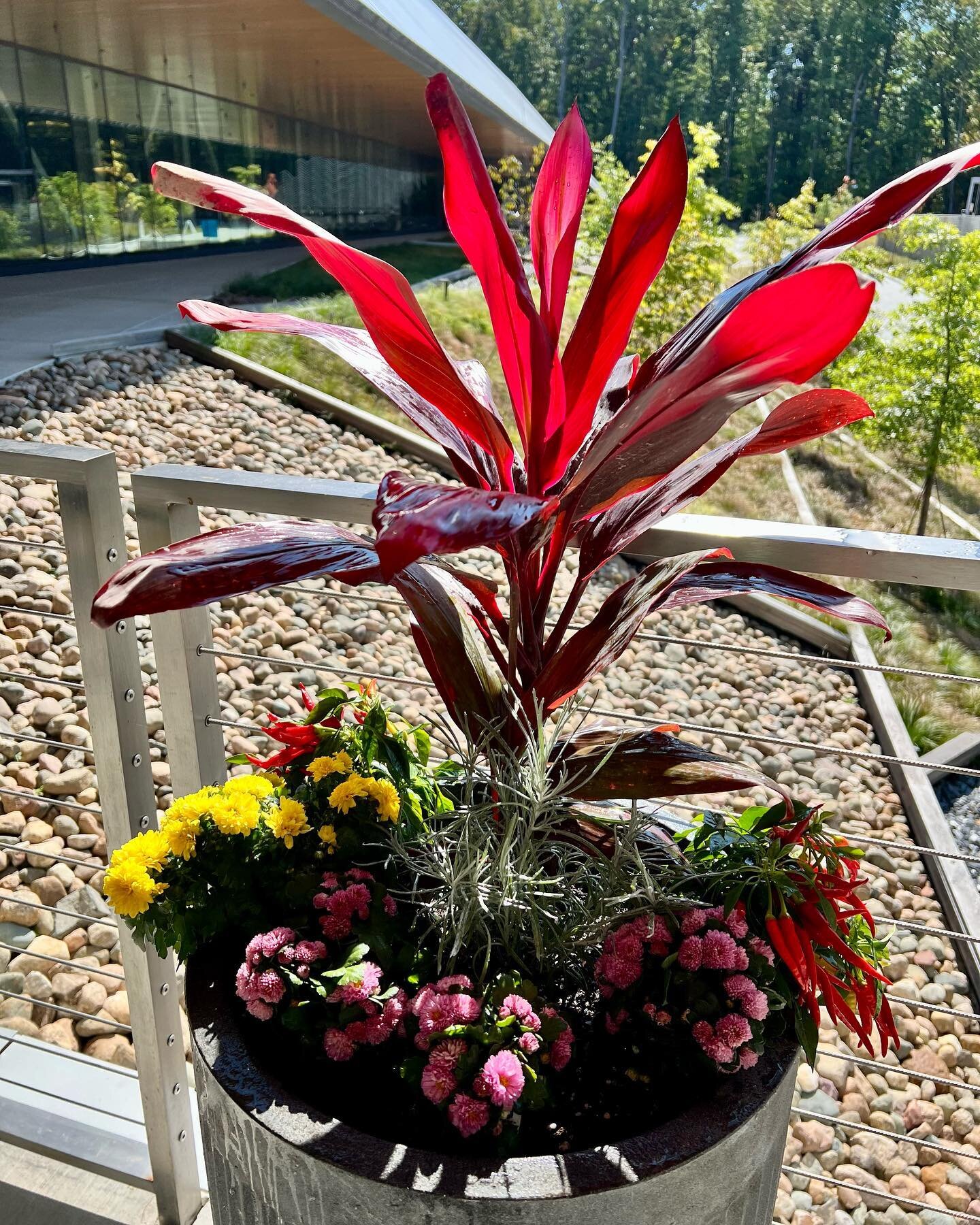 @kla.corp looking extremely fresh after a brief flower installation by @yopatches  #flowers #flowerpower #flowerman #fallcolors #falldecor #horticulture #landscaping #landscapingdesign #annarbor #localbusiness #architecture #aesthetics #aesthetically