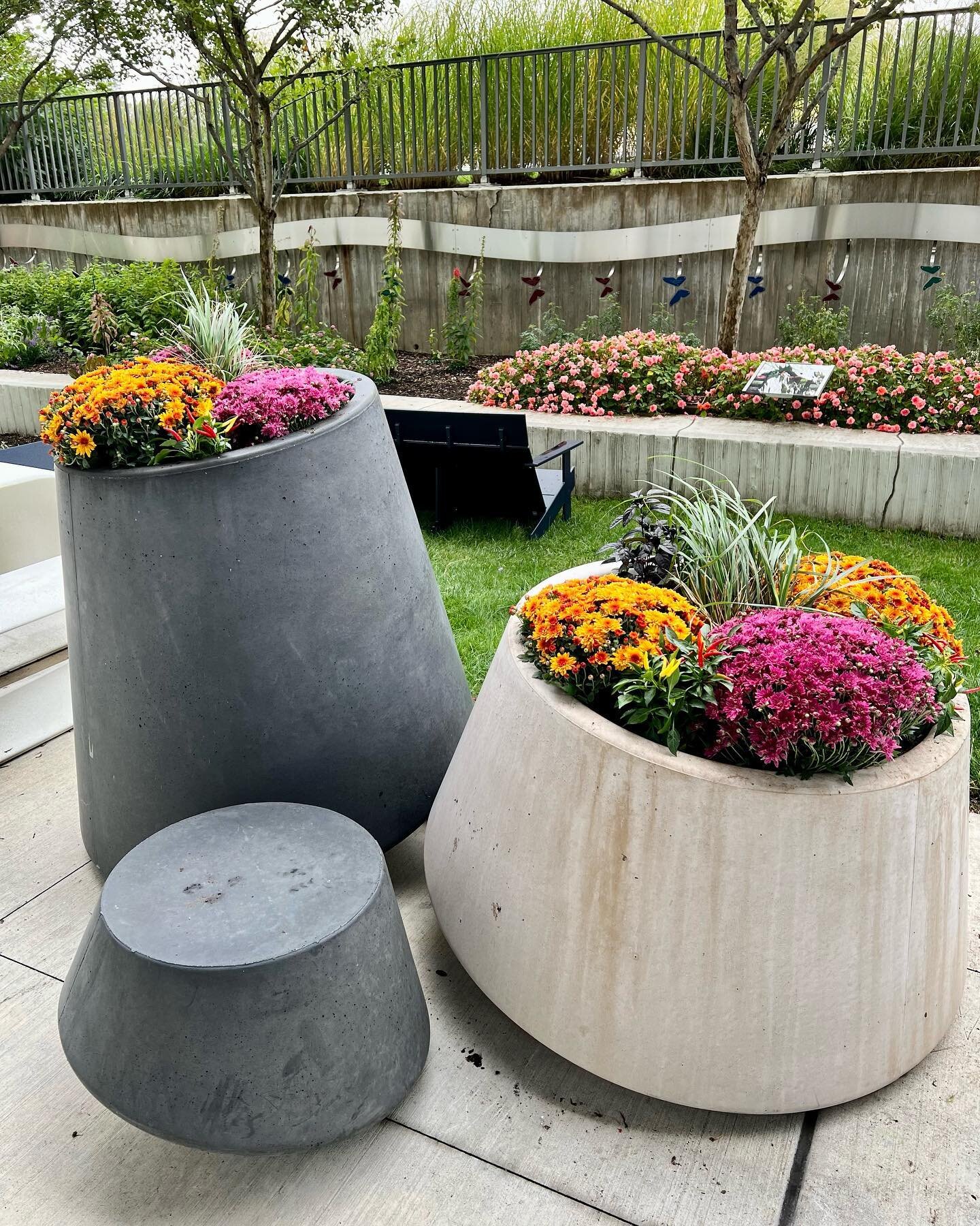 The @mottchildren courtyard is looking good this fall 🌺 👀  @yopatches  #landscaping #flowers #falldecor #planters #flowerstagram #prettyflowers