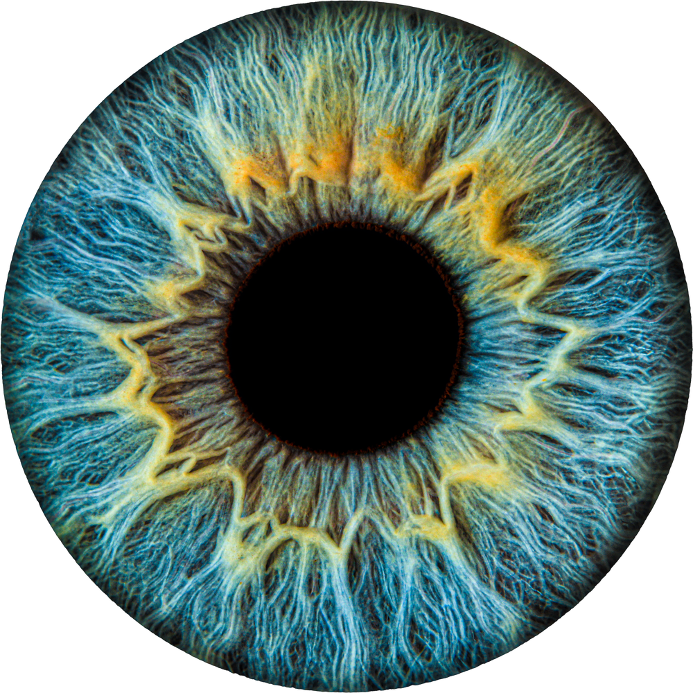 Uniqueye Iris Photography uniqueye-iris-photography