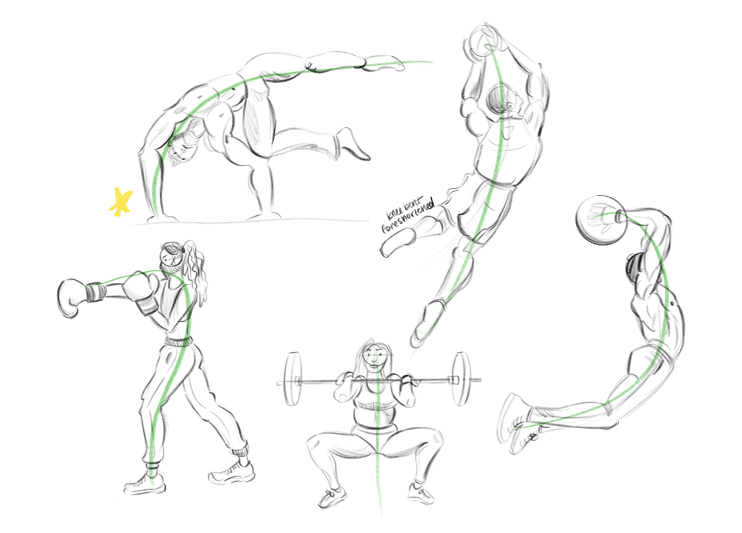MaldonadoArianna_AN01_week8_physicalstrength_sketches copy.jpg