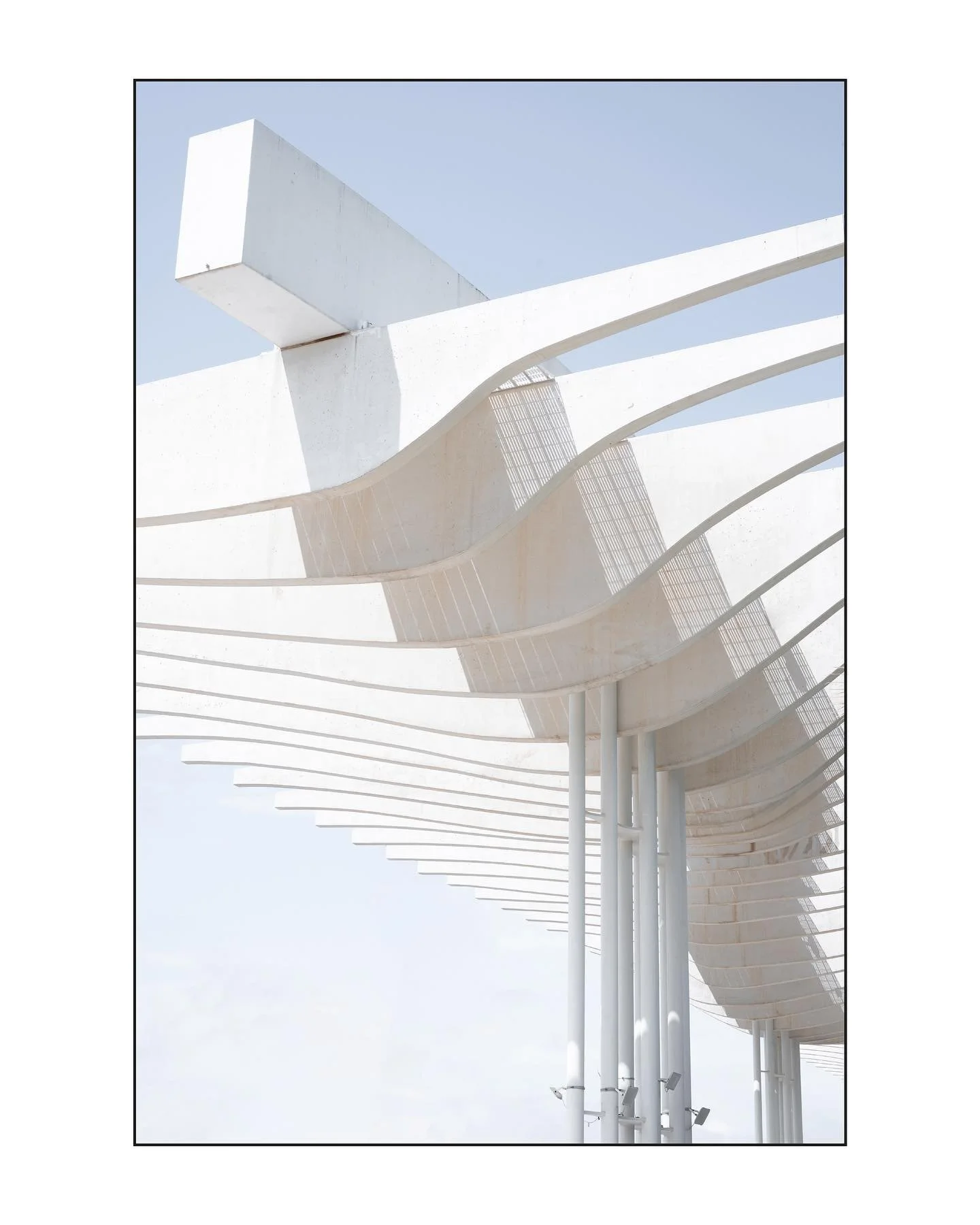 Detalle de Palmeral de las Sorpresas en el Puerto de M&aacute;laga por @junqueraarquitectos 

#architecturalphotography #contemporaryarchitecture