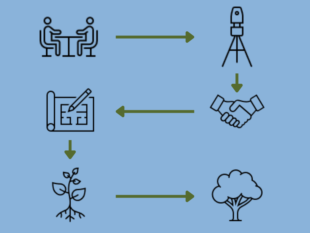 Diagram highlights the Keystone Streams process, from conversation to site review to landowner agreement to planting plan to  seedling planting to maintenance and tree growth