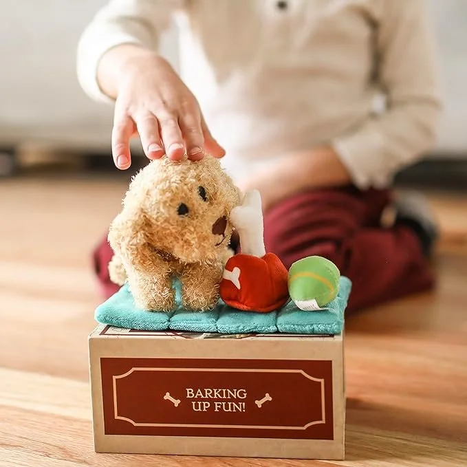 Puppy in a Box