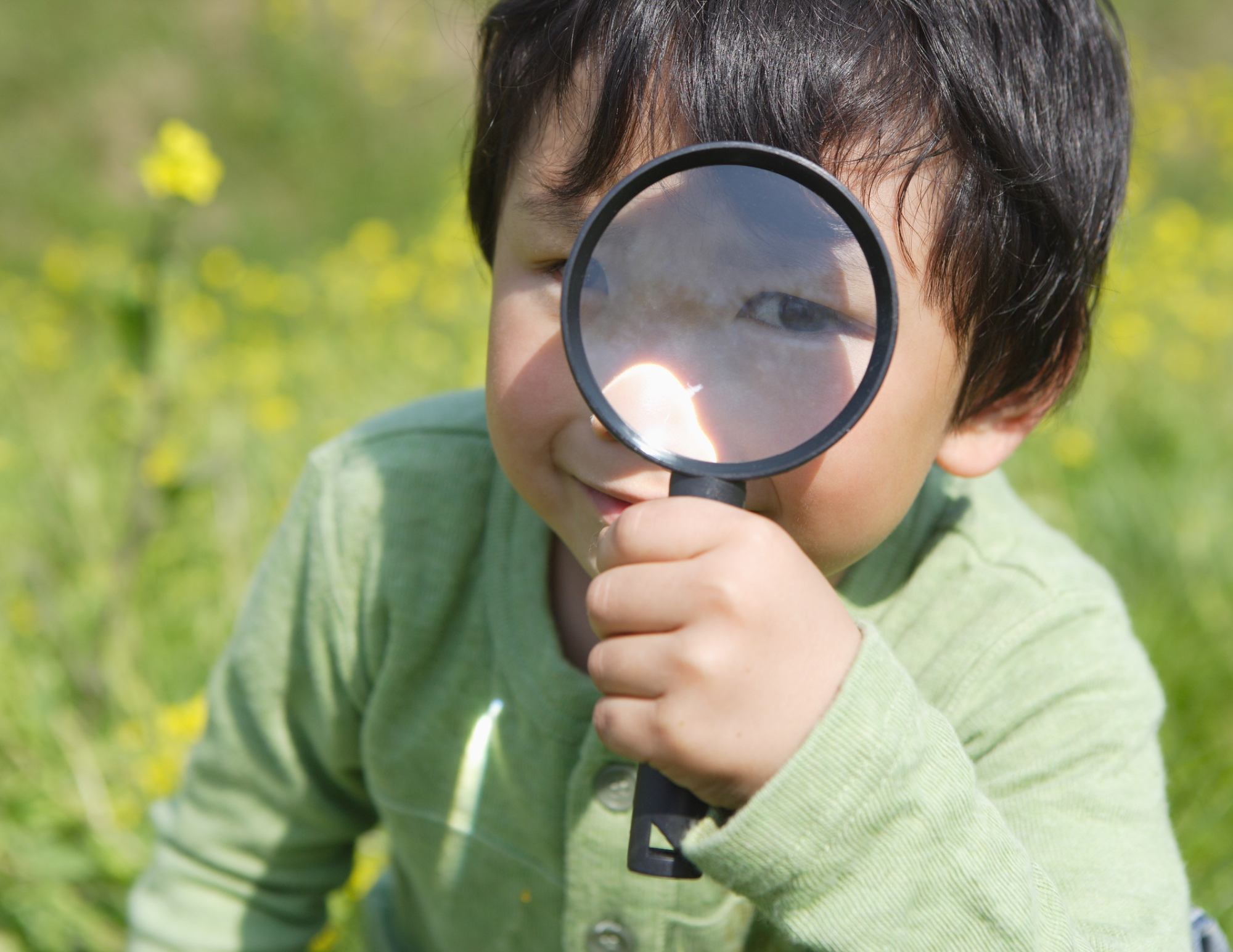 Sensory Scavenger Hunts for Kids