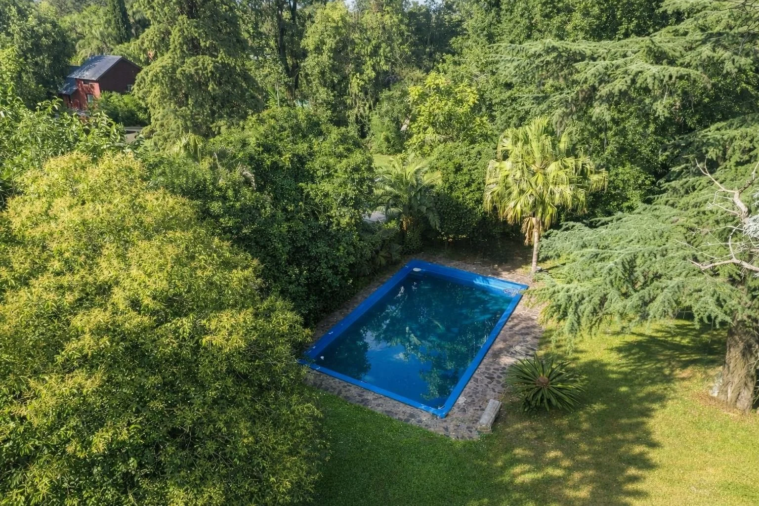Aerial view of 12 x 6 meter swimming pool surrounded by mature trees and landscaped grounds in Maschwitz estate.